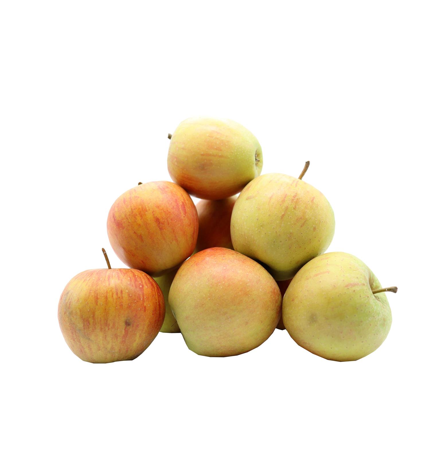  Bleichhof Bleichhof Apple Rubinette Juicy Cox Orange Aroma Fine and Sour from the Palatinate (3 kg) New Harvest - Buy Online on GoSupps.com