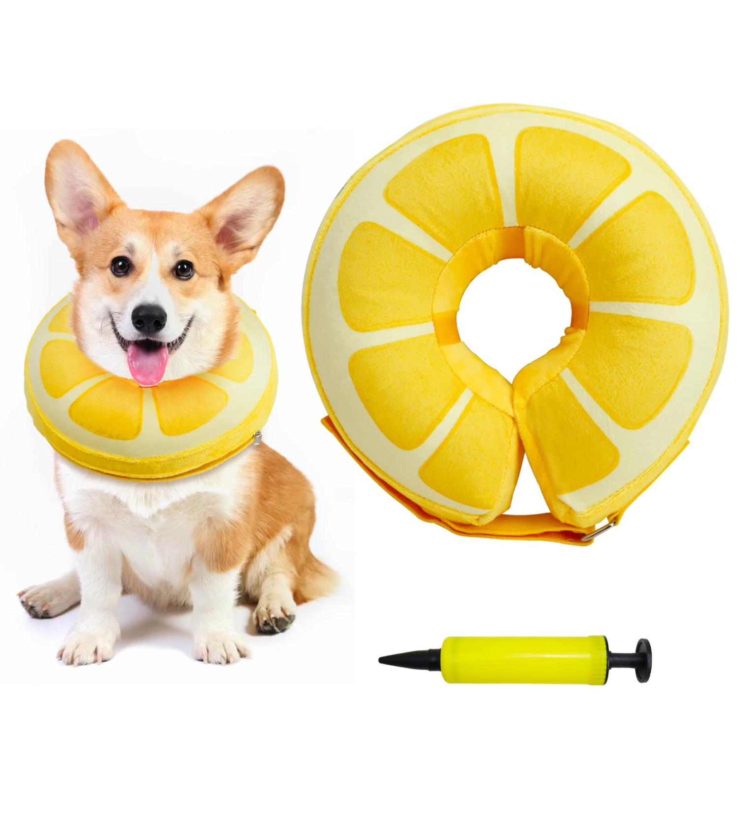 Protective Inflatable Recovery Cone Collar for Medium Large Dog Adjustable Soft Pet After Surgery Inflatable Neck Lemon Donut Collar Prevent from Puppy Touching Stitches Wounds Biting Scratching Not Block Vision (SizeM-Dog) - Buy Online on GoSupps.com