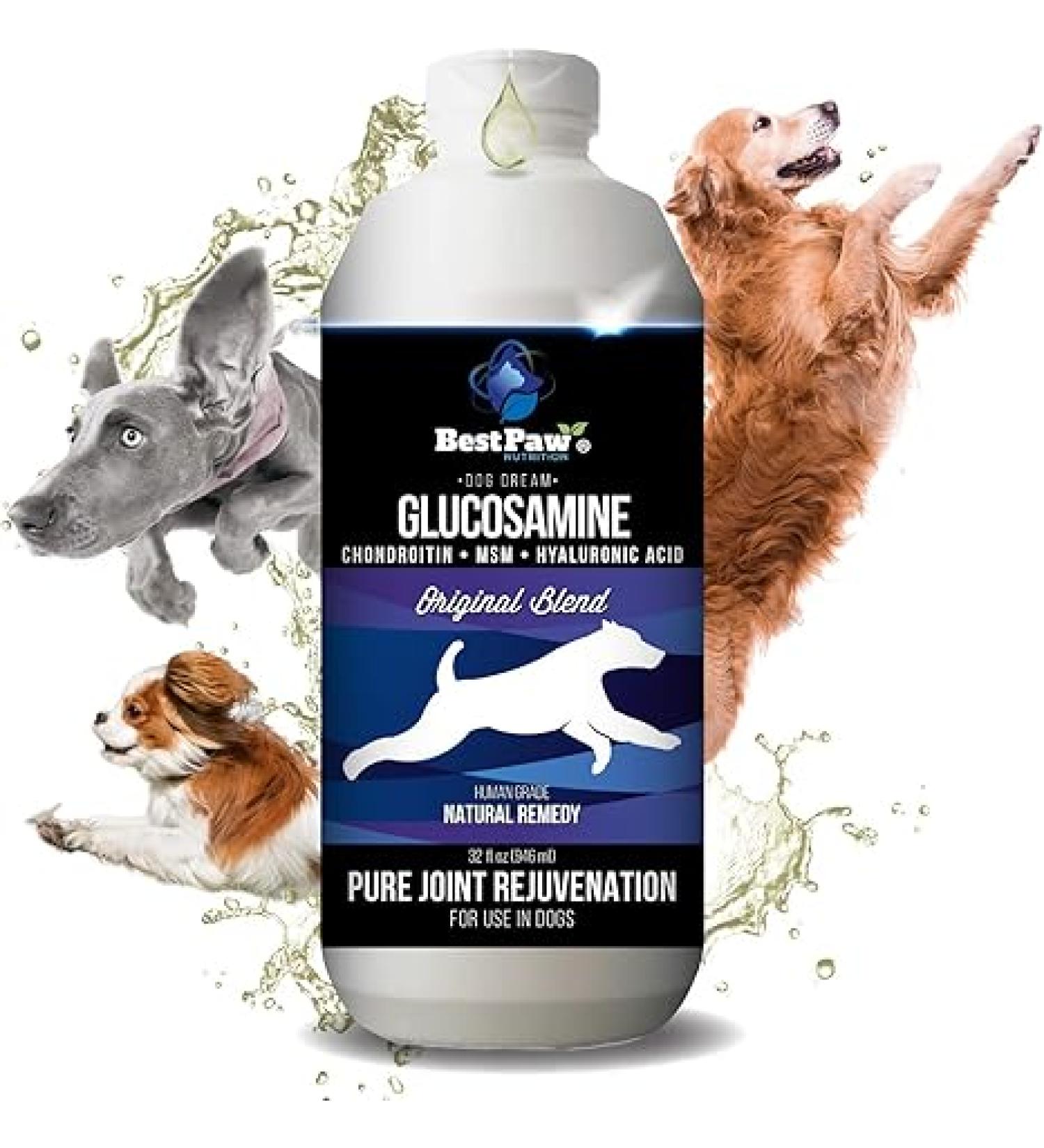 Best Paw Nutrition Liquid Glucosamine Chondroitin for Dogs - Hip Dysplasia & Joint Pain Relief - Canine Health Food Supplement - Natural Pet Vitamins with MSM for Dog Mobility Support - 32oz - Buy Online on GoSupps.com