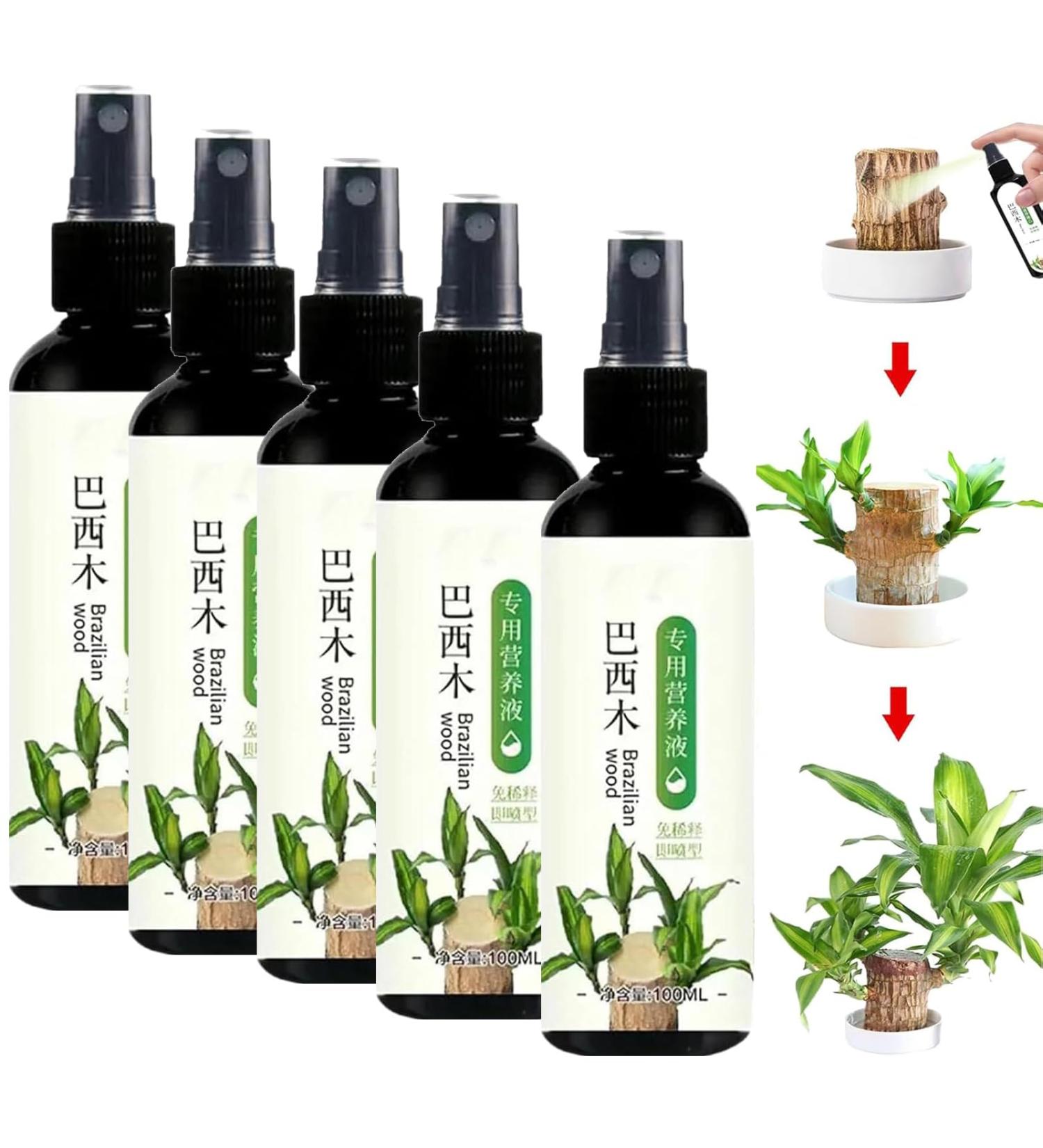 Brazilian Wood Plant Food Lucky Bamboo Liquid Fertilizer Lucky Brazilian Wood Houseplant Fertilizer Brazilian Wood Flowering Special Nutrient Solution (5pcs) - Buy Online on GoSupps.com
