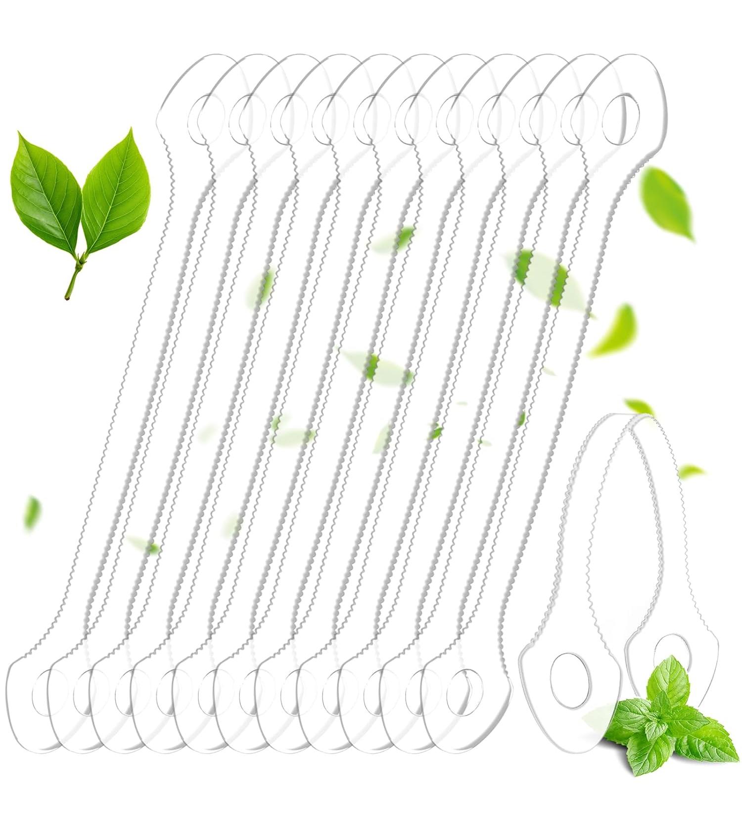 Disposable Tongue Scraper - 100 Count - Buy Online on GoSupps.com