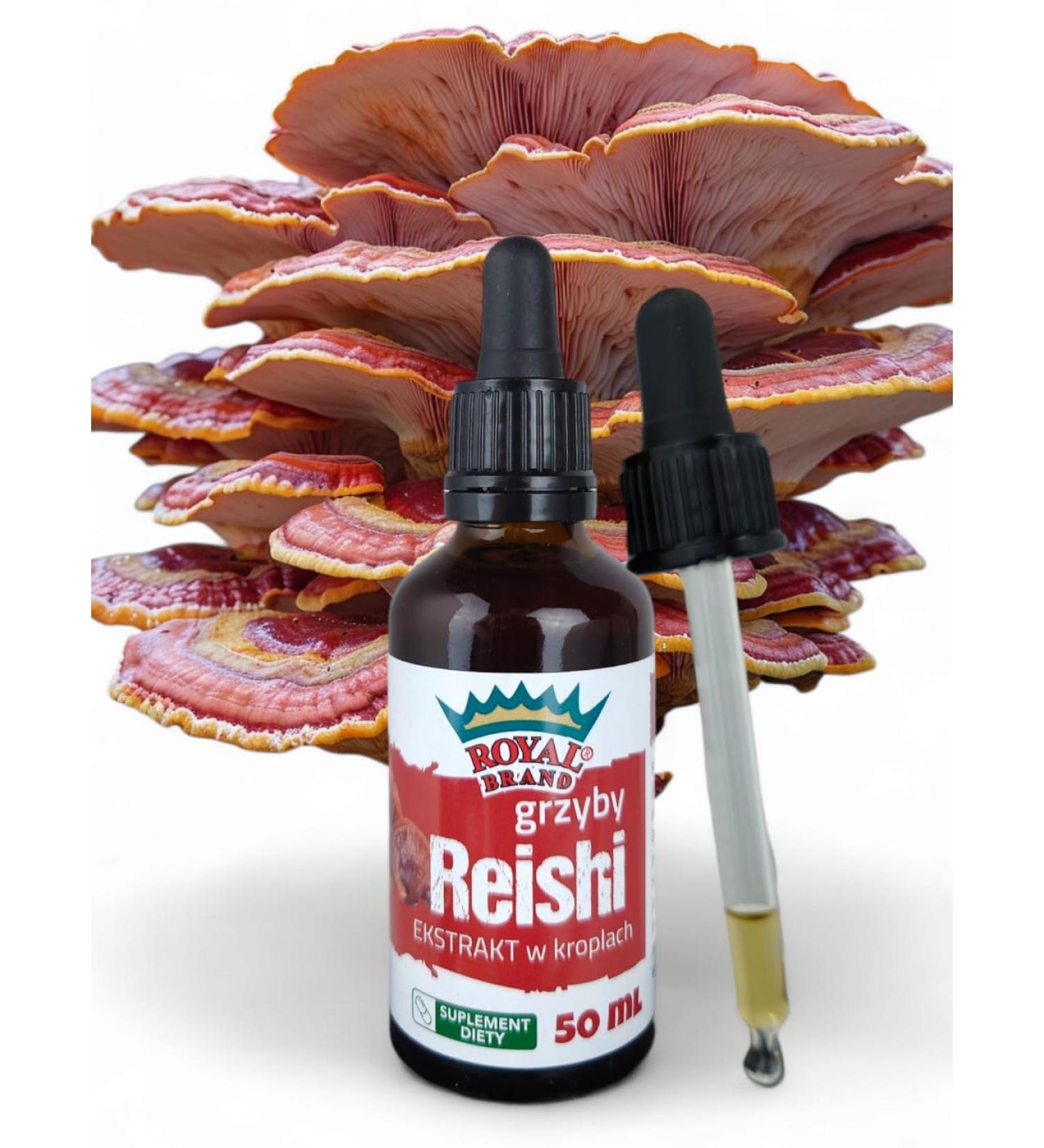 Royal Brand Reishi Mushroom Supplement/Our Reishi Mushroom Extract Promotes Longevity/Reishi Mushroom Tincture - 50ml / 1.7 Fl Oz - Buy Online on GoSupps.com