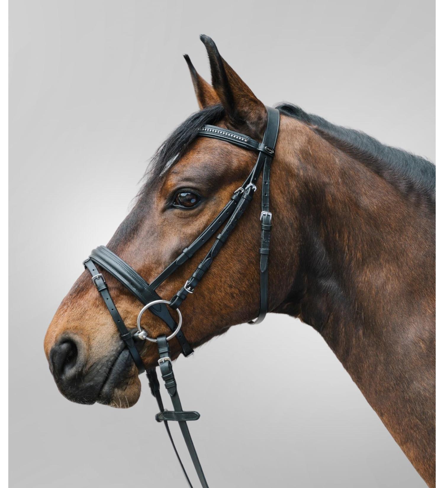 Buy Star WALDHAUSEN Diamond Black Thoroughbred Bridle | Premium Quality International Shipping - Buy Online on GoSupps.com