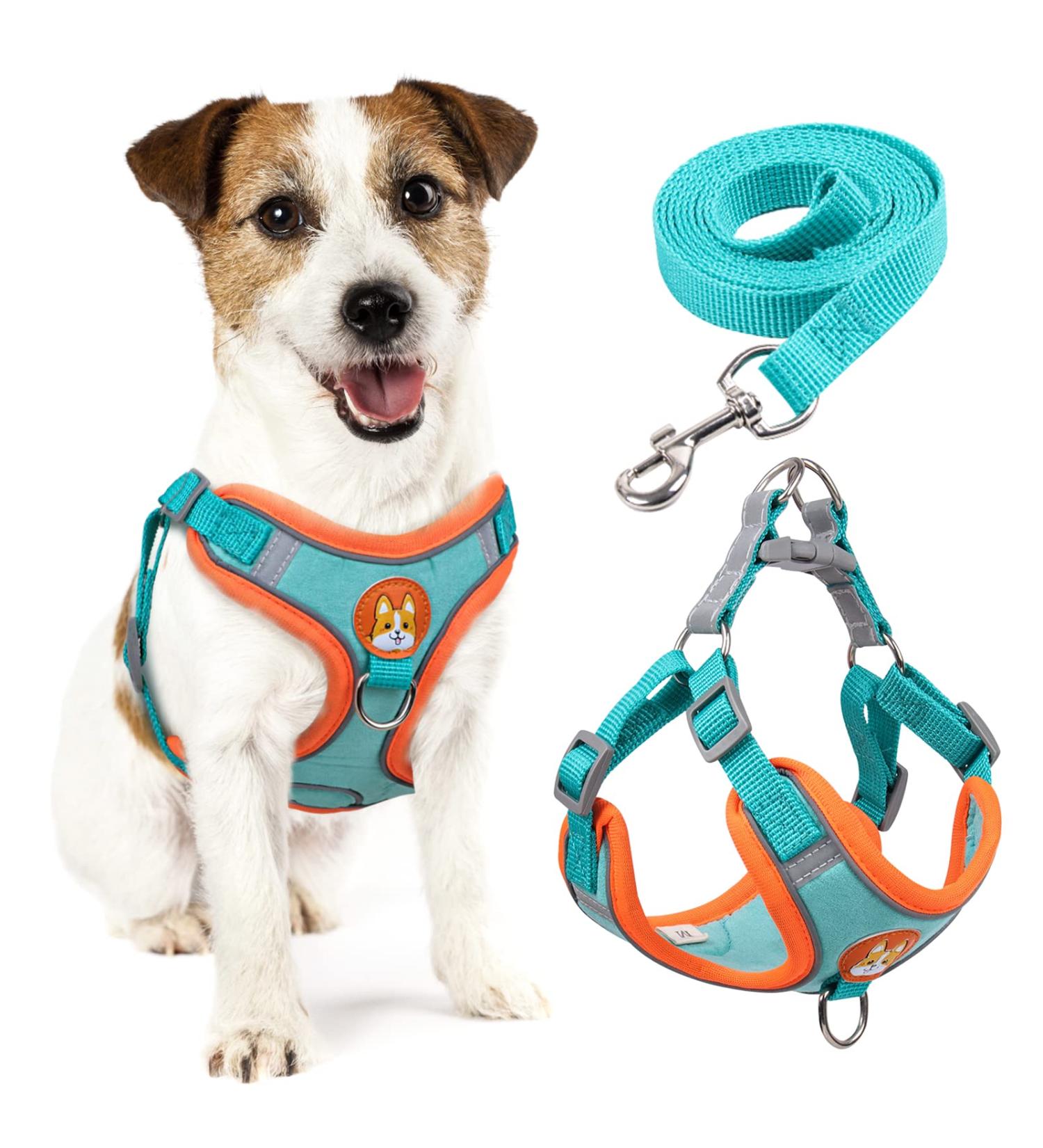 Rennaio No Pull Dog Harness & Adjustable Puppy Dishes Set - Comfortable Chest Harness & Leash for Small/Medium Dogs - Seeblau L - Buy Online on GoSupps.com