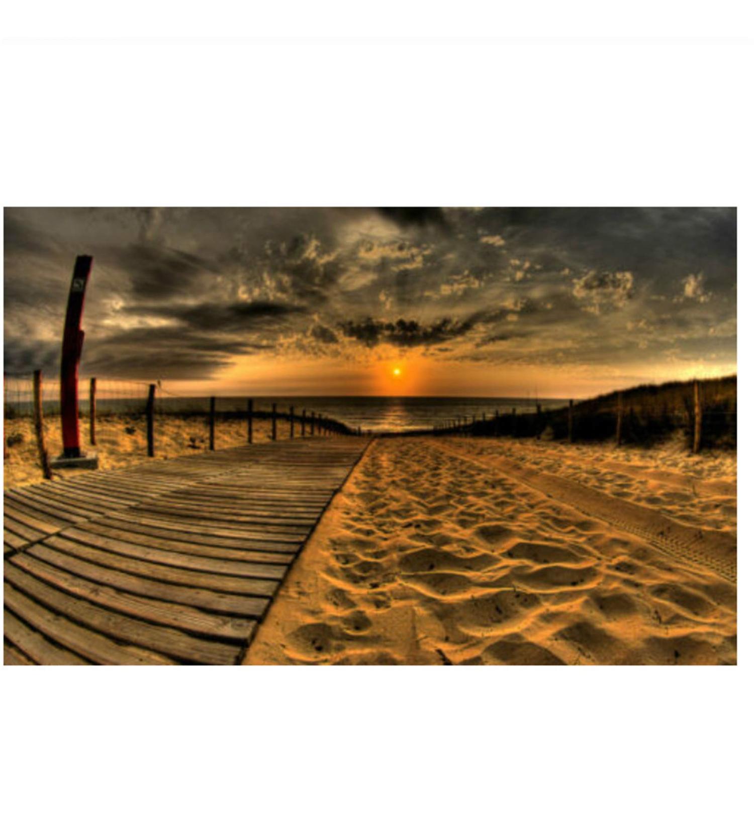 Buy Black Roll Wig - Curly Afro Brown Wig for Europe & America | Stylish Head Cover - Buy Online on GoSupps.com