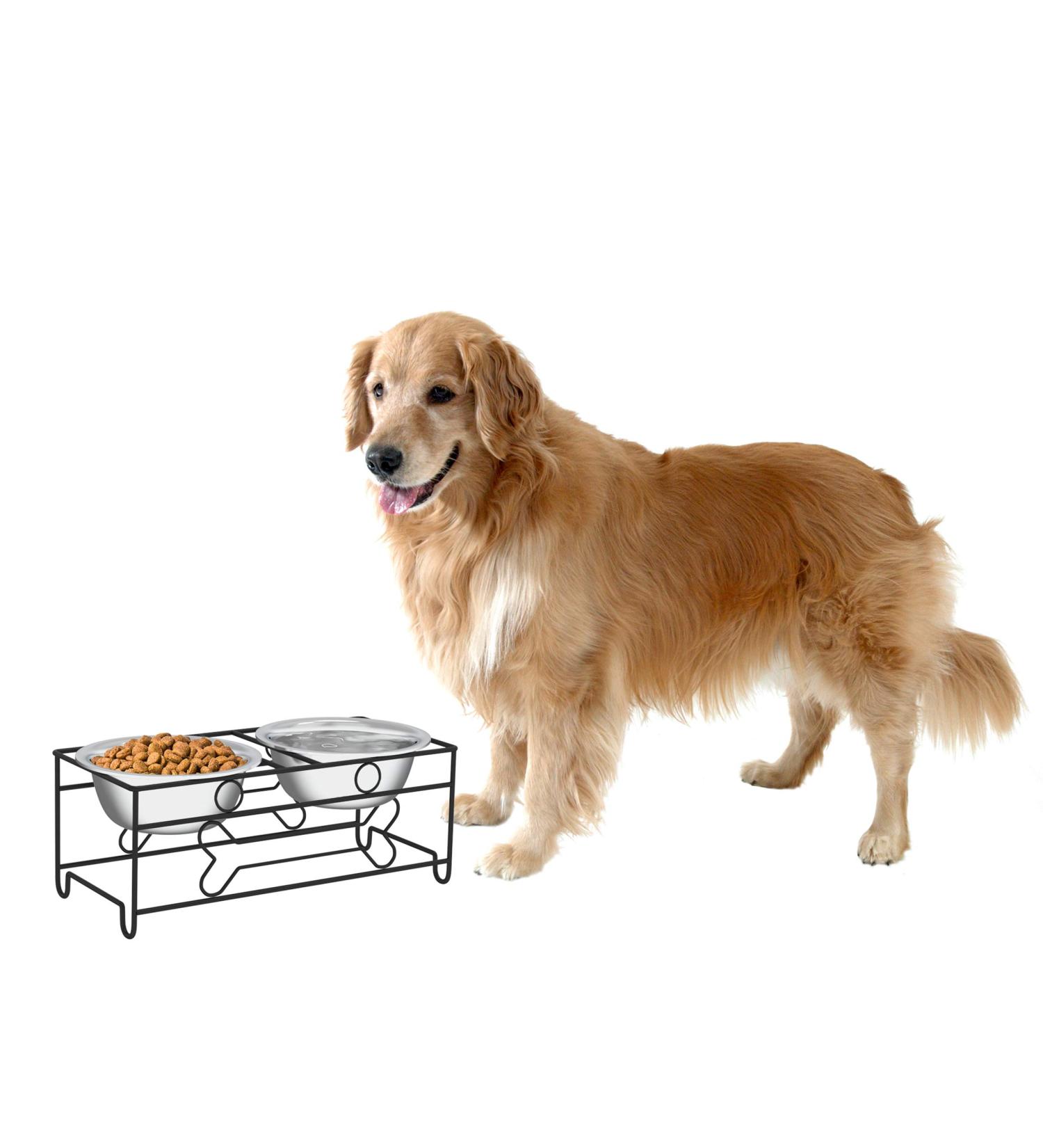 PETMAKER Stainless Steel Raised Food and Water Bowls with Decorative Stand - 2 Pack 6.5 Height - Buy Online on GoSupps.com