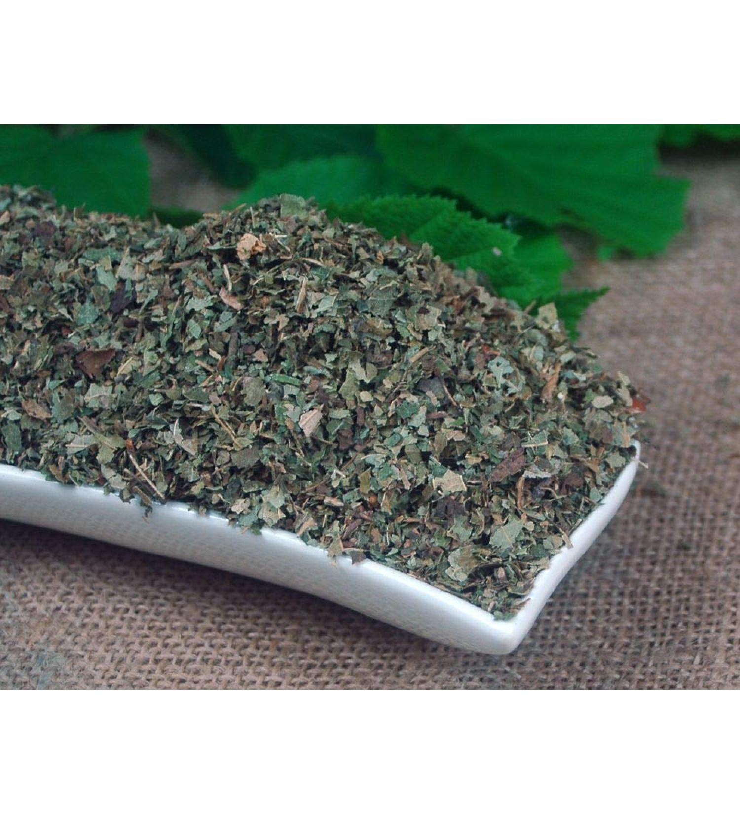 Krauterino24 - Hazelnut leaves cut quantity: 1000g