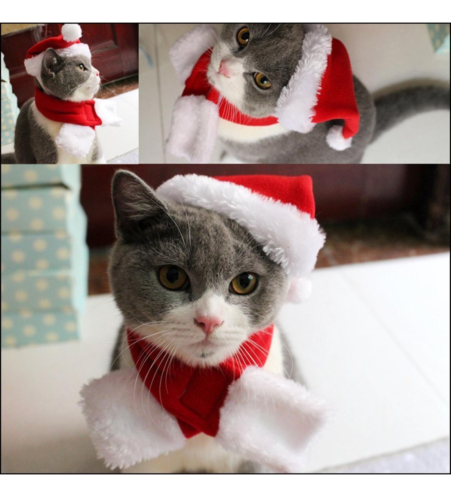 Pet Leso Red Christmas Hat for Cats & Dogs | Festive Holiday Accessory for Pets - Buy Online on GoSupps.com