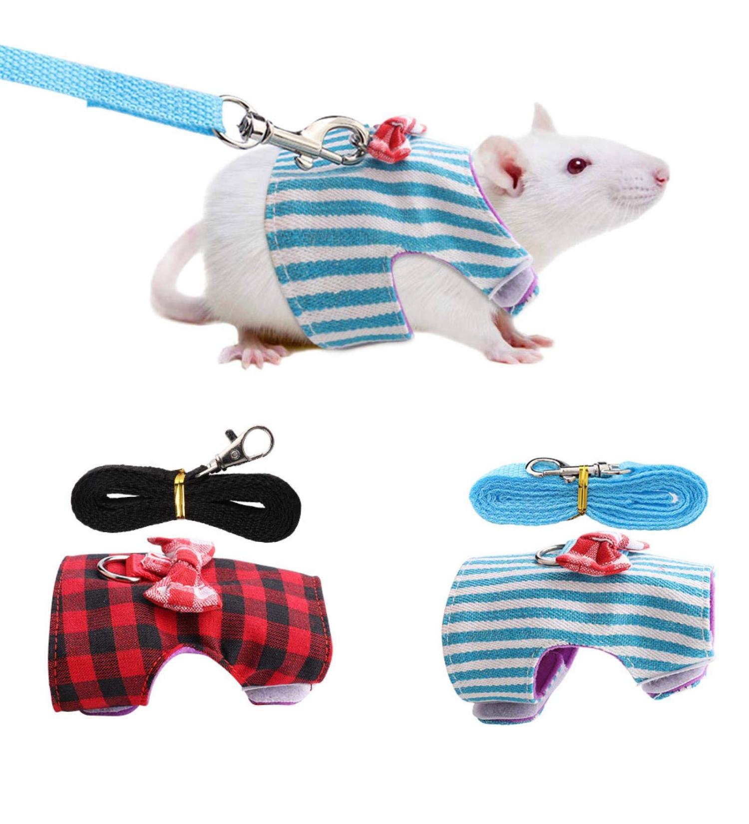 Hamster Harness and Traction Rope 2 Pieces Small Pet Harness with Bowknot Decor Small Animal Outdoor Walking Traction Rope Vest for Ferret Guinea Pig Iguana Rabbit Red Grid + Blue Stripes(XS) - Buy Online on GoSupps.com