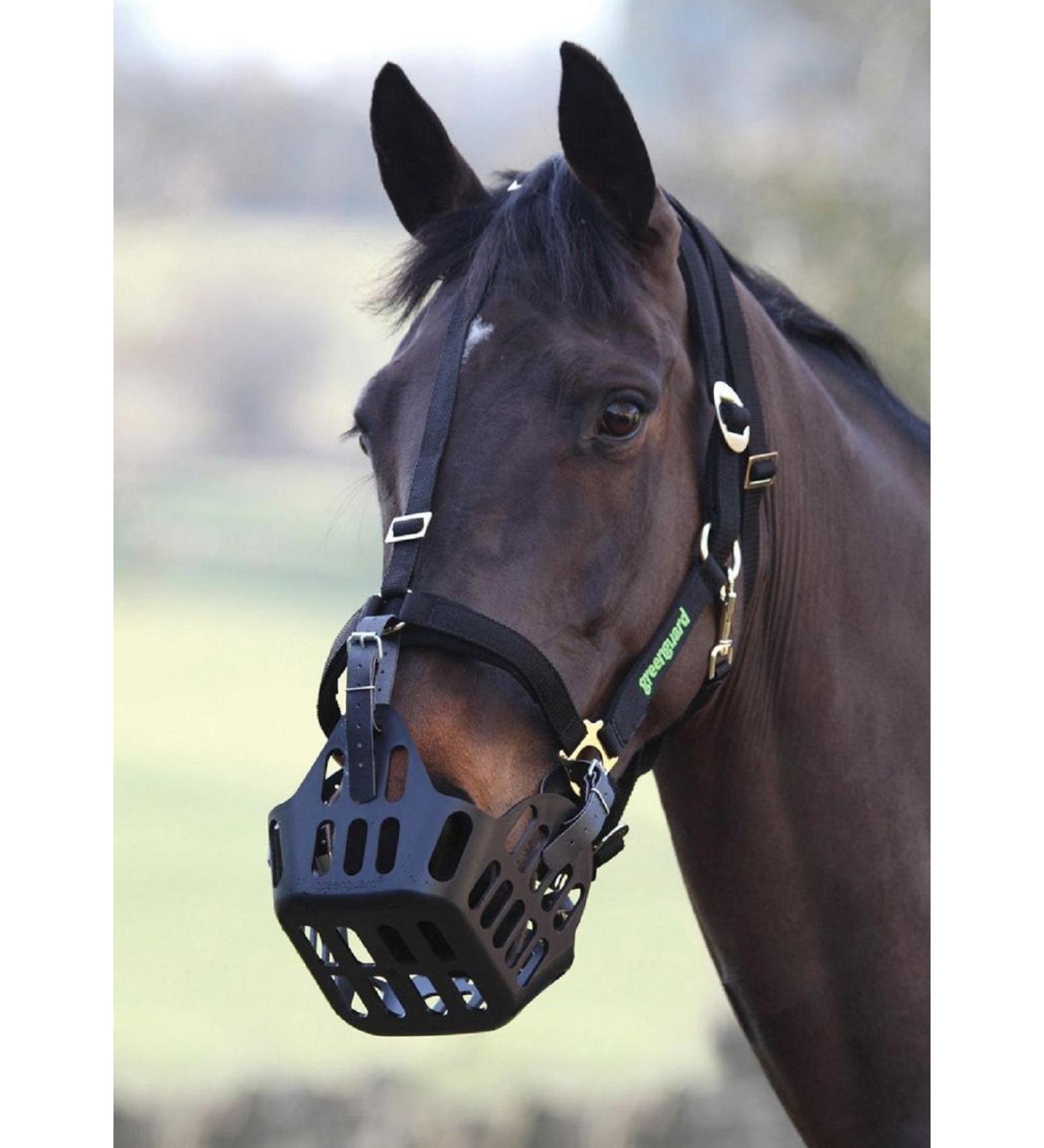GREENGUARD Shires Anti Grazing Muzzle With Straps Full (Horse) Size