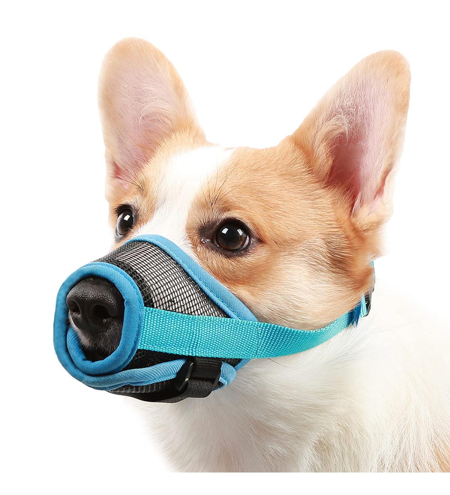 Mayerzon Adjustable Dog Muzzle - Breathable & Comfortable for Small Medium Large Dogs - Ideal for Biting Barking & Chewing (Blue Size S) - Buy Online on GoSupps.com