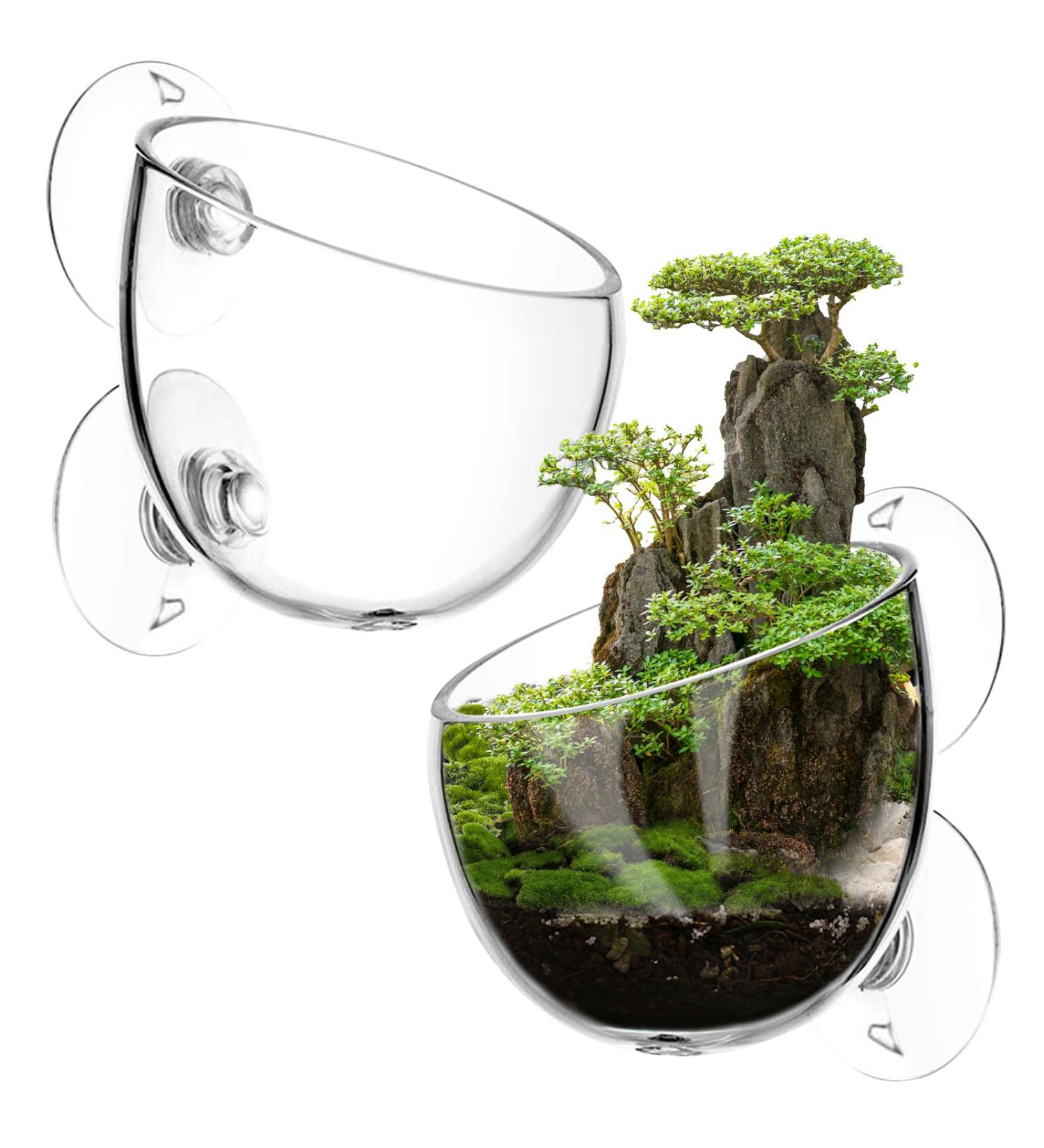 Vtinyeal Aquarium Plant Keep Cup - 2 Pieces Water Plant Pot with Suction Cups | Aqua Decoration & Accessories - Buy Online on GoSupps.com