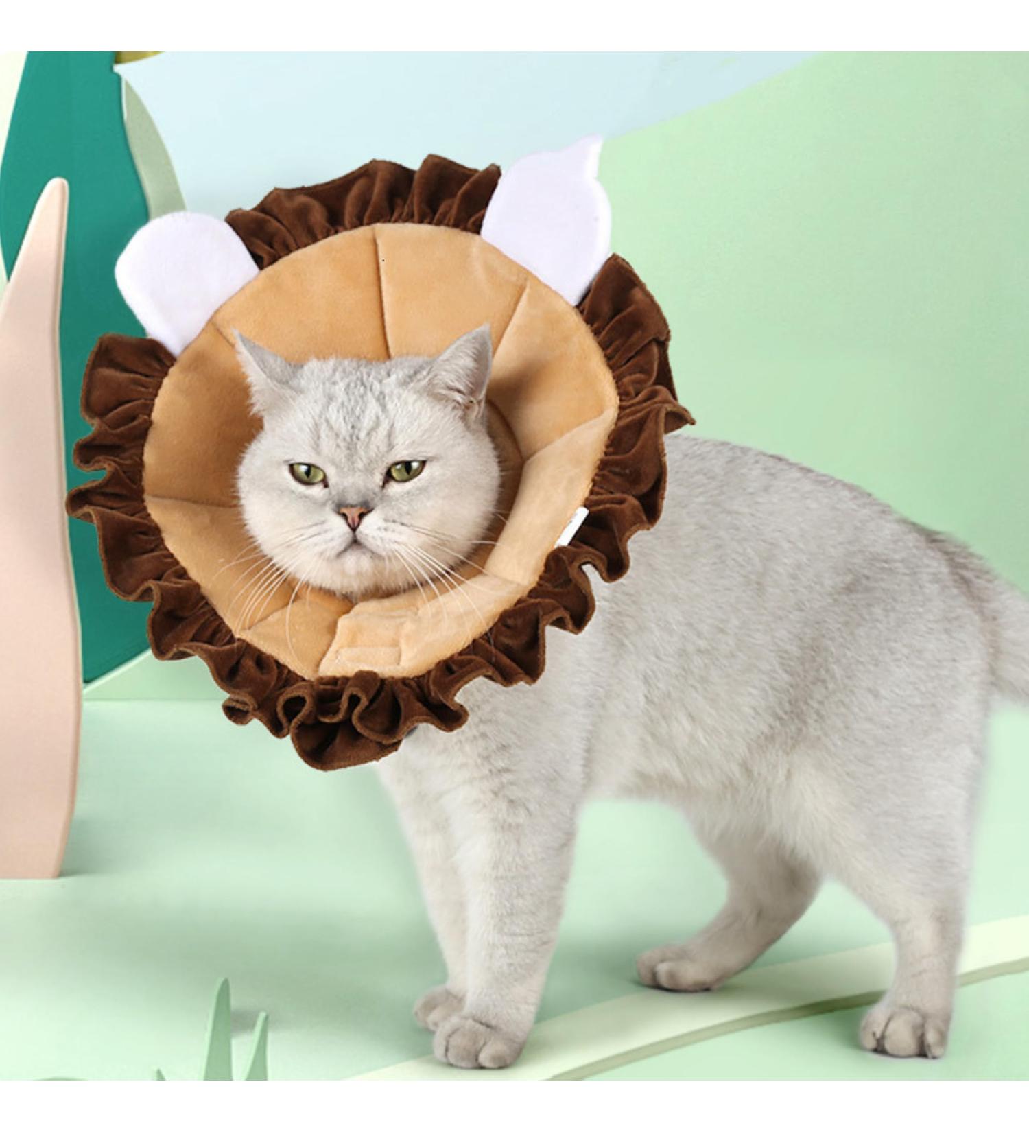 Adjustable Hinged Fragrance Cat Collar | Soft Protective Halskrause for Cats & Dogs | International Shipping - Buy Online on GoSupps.com