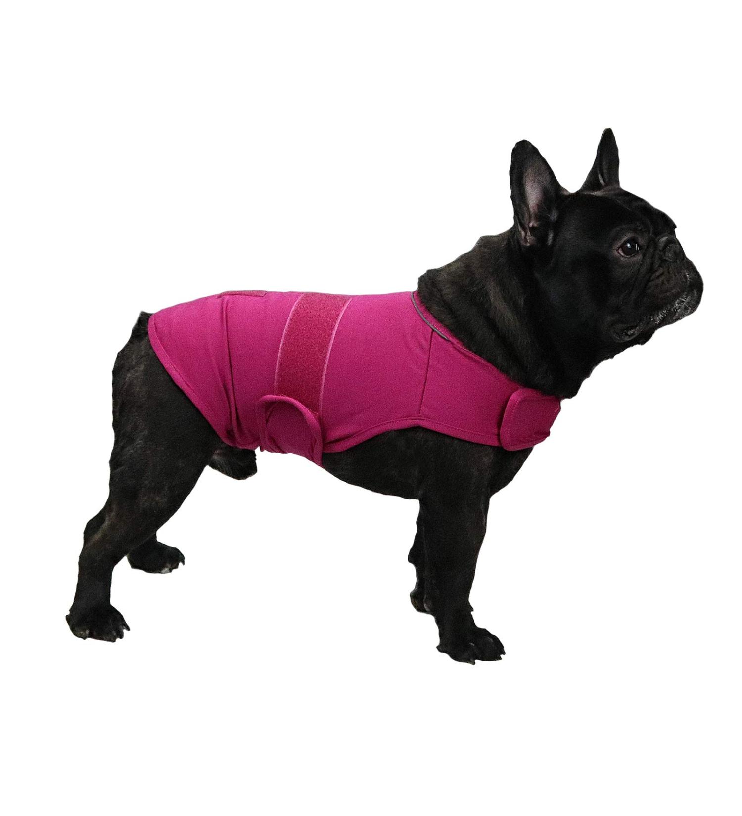 Cattamao Comfort Dog Anxiety Relief Coat - Calming Vest for Thunderstorm, Travel, Fireworks - XS-XL Sizes - Rose (Medium) - Pack of 1 - Buy Online on GoSupps.com