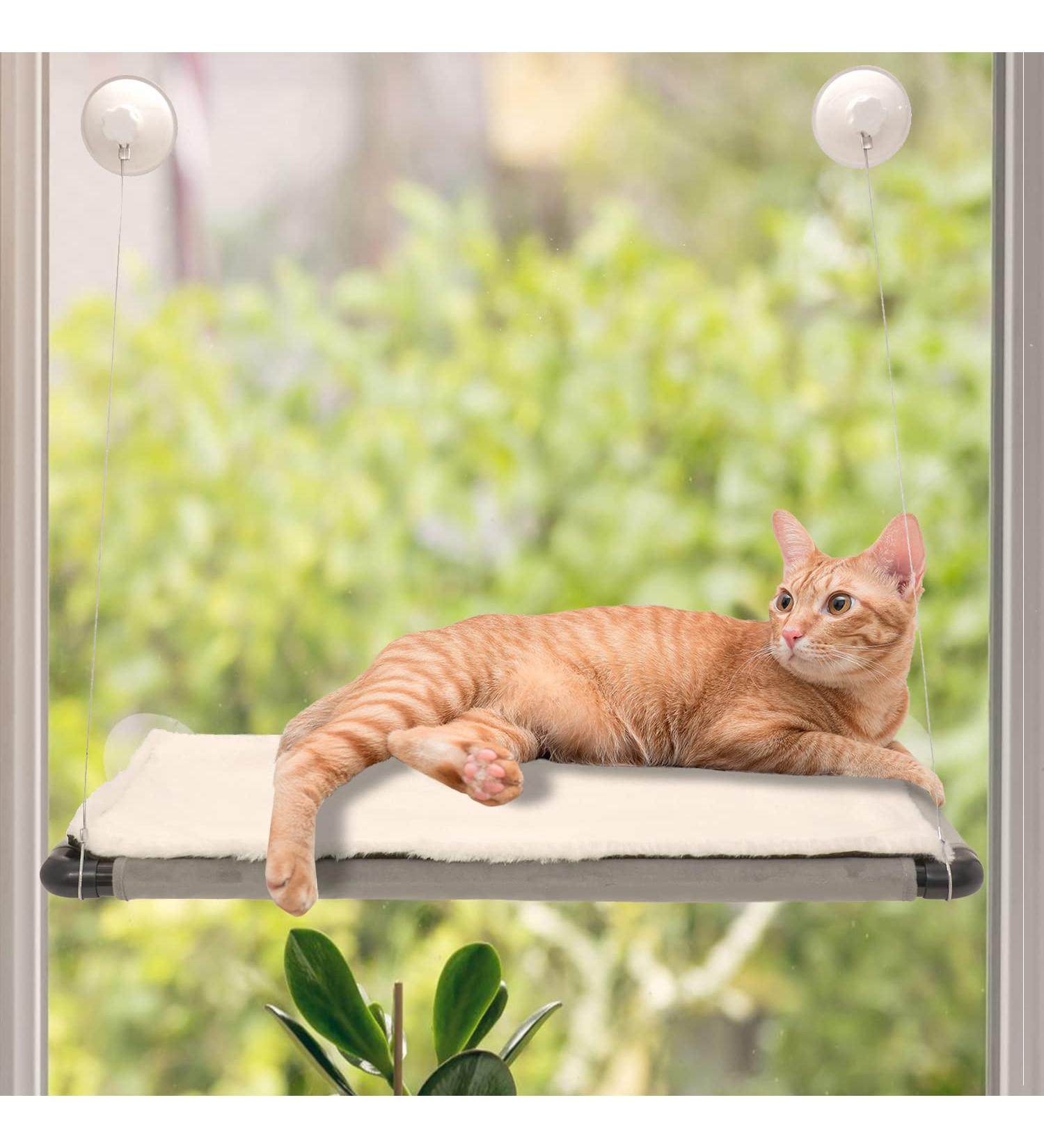 Hanging Window Cat Hammock - Suction Cup Mounted Perch for Indoor Cats | 26.4 x 15.6 Inches - Buy Online on GoSupps.com