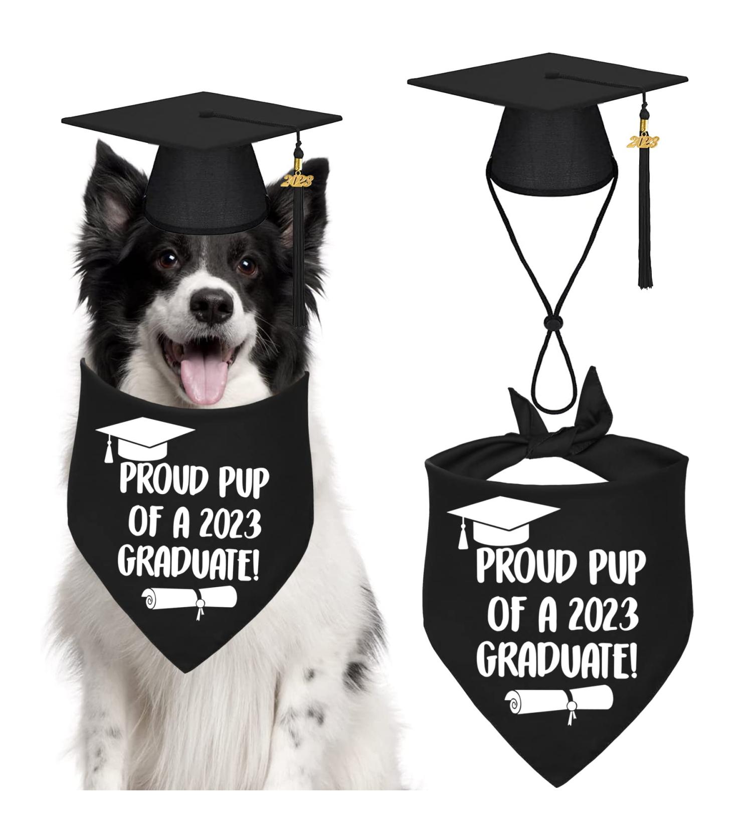 STMK Dog Graduation Cap Bandana 2023 Tassel - Black Cap & Bandana Set for Small to Large Dogs - Buy Online on GoSupps.com