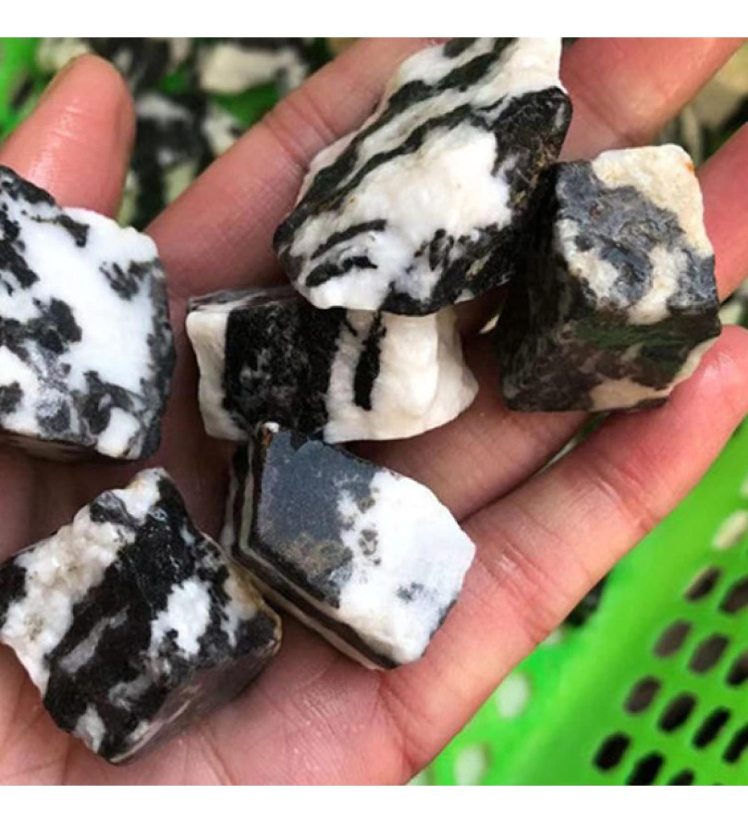 Natural Crystal Rough 50g Natural Clear Quartz Crystal Rock Chips Specimen Collection Natural Mixing Fish Tank (Color : Zebra Size : 2-4 cm) 2-4 cm Zebra - Buy Online on GoSupps.com