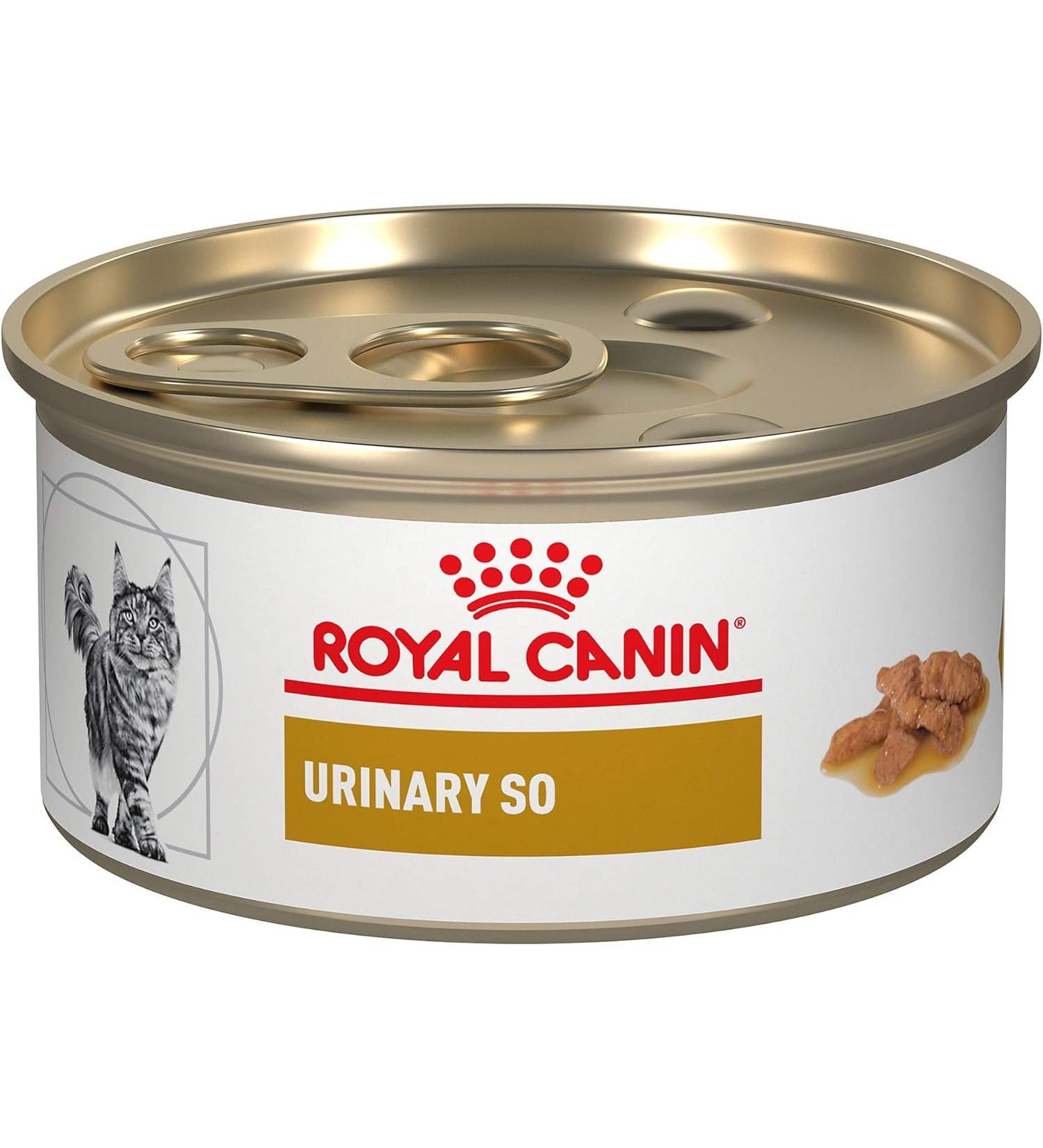 Royal Canin Veterinary Diet Feline Urinary SO In Gel Canned Cat Food , 5.8 oz, 12 Pack