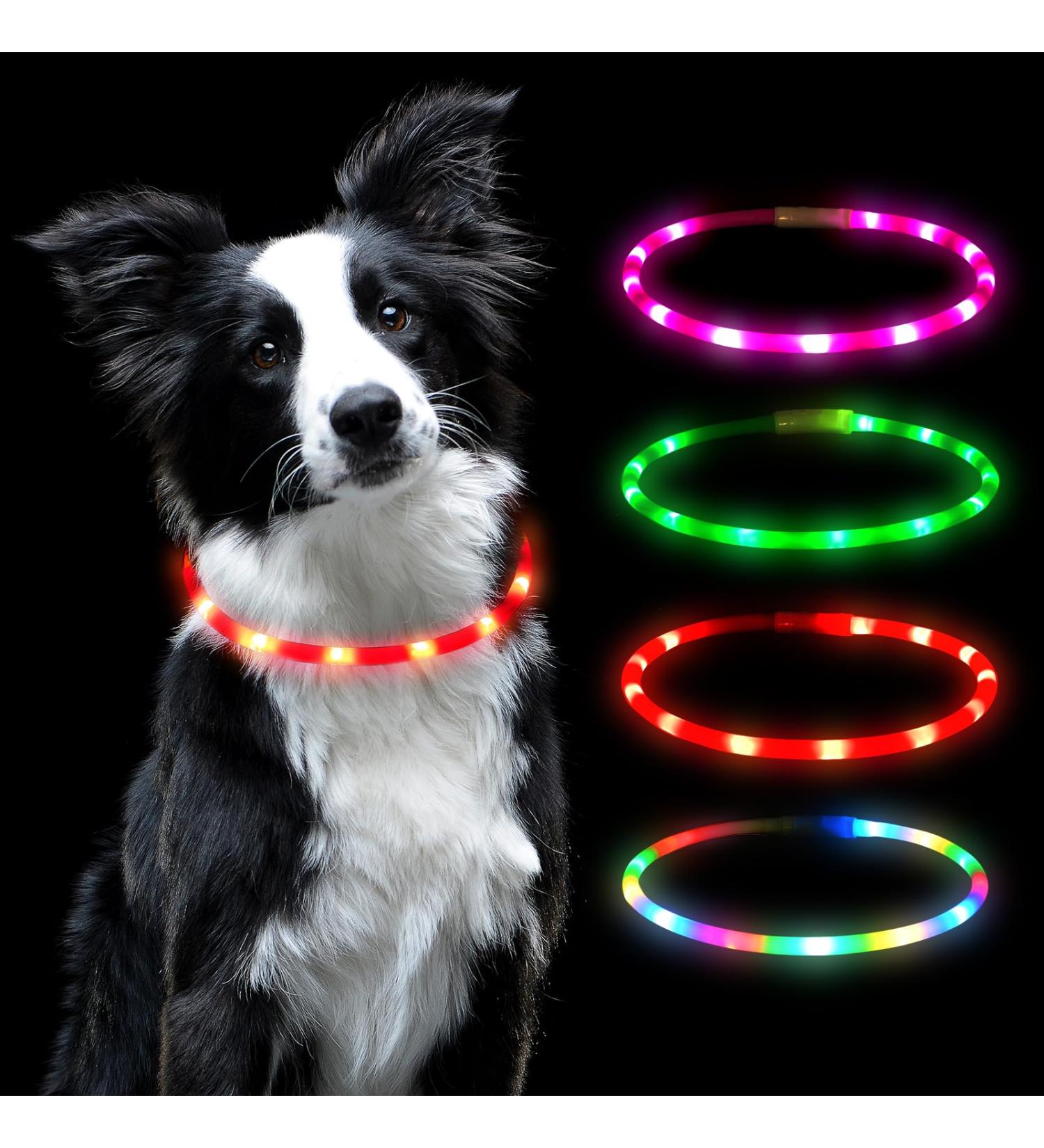 Buy Auauy LED Light Neck Band for Dogs & Cats - USB Rechargeable Adjustable Waterproof 4 Modes (Red) | Safe Silicone Collar for Pet Safety - Buy Online on GoSupps.com