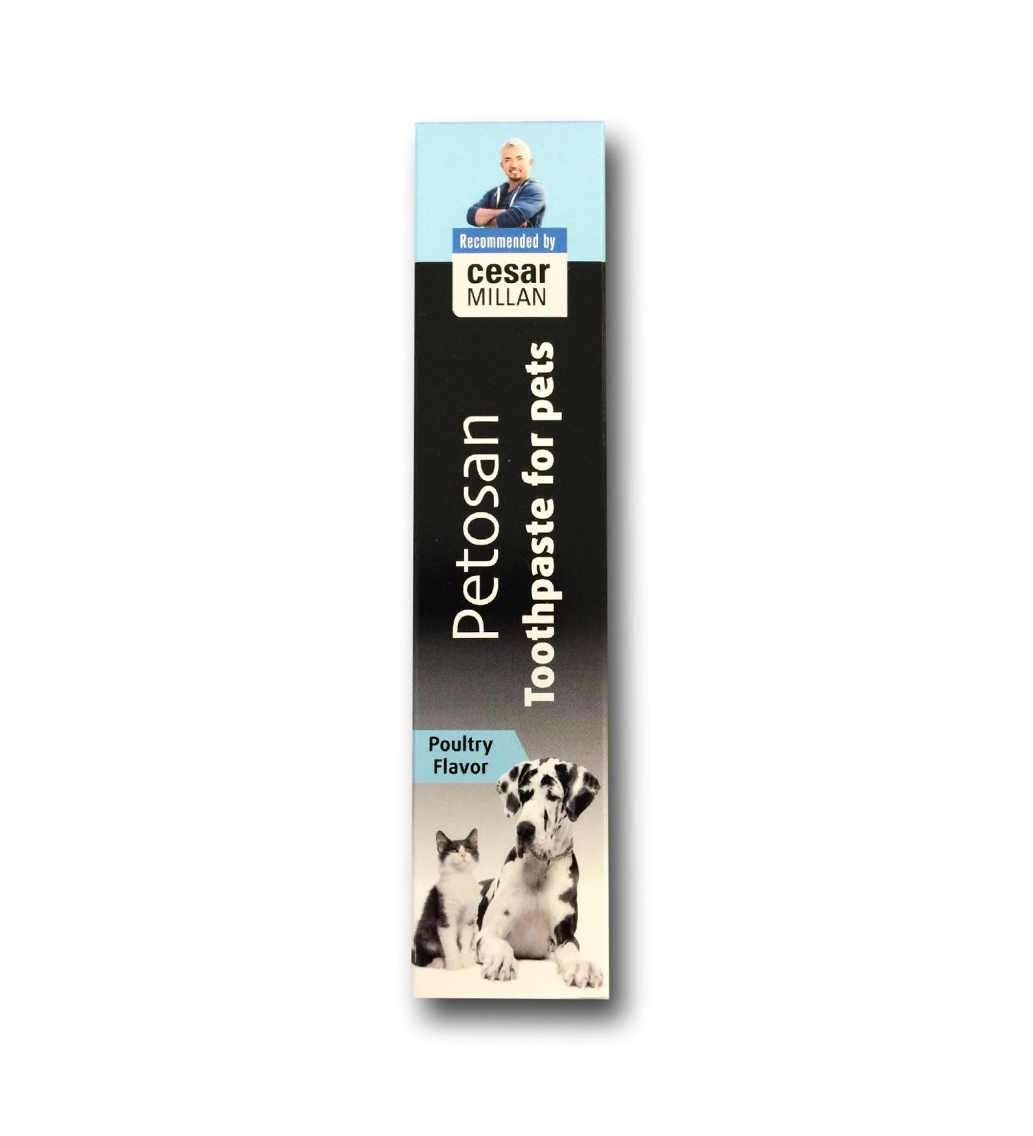 Petosan Anti-Tartar Toothpaste for Pets - Poultry Flavor | International Shipping Available - Buy Online on GoSupps.com