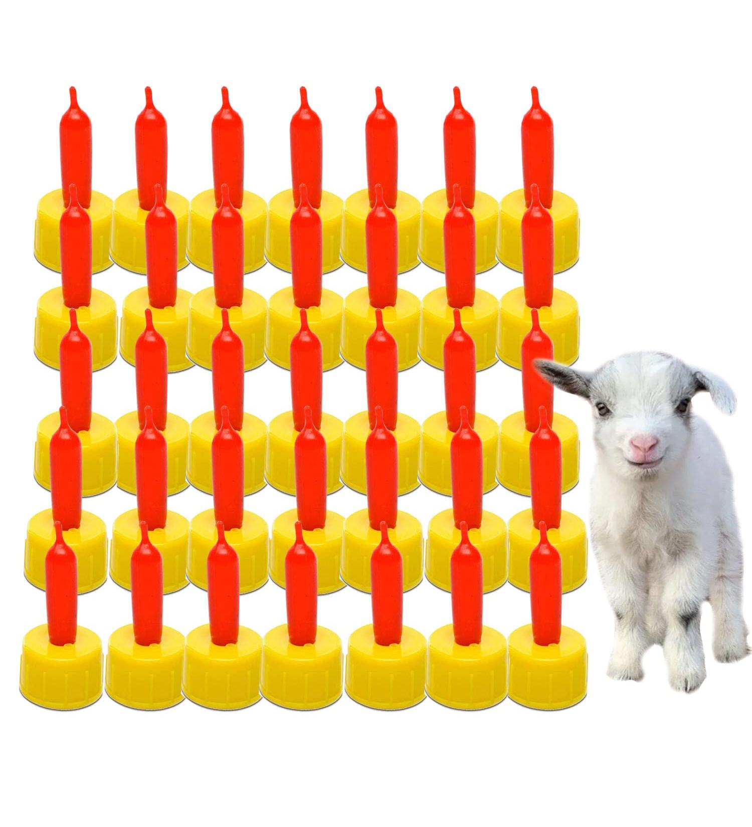 Xary 35 PCS Soft Silicone Goat Nipples for Feeding - Farm Supplies for Sheep, Goat, Lamb, and Puppy Nursing - Buy Online on GoSupps.com