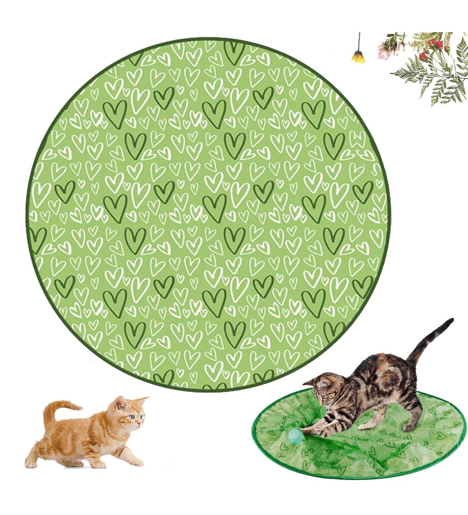 Shengruili Interactive Hunting Cat Toys - Stimulating Play Carpet & Training Mat for Cats | B-Z-Green - Buy Online on GoSupps.com