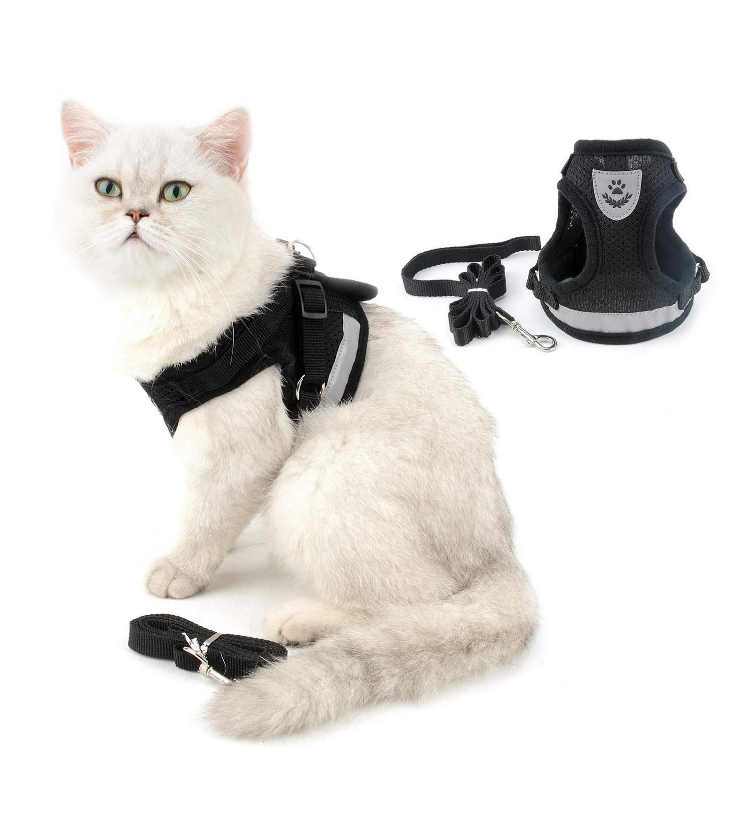 Ranphy Cat Dishes & Leash Set - Break-Proof Reflective Chest Harness for Small & Adult Cats - Soft Fabric Black Size L (Chest 44 cm) - Buy Online on GoSupps.com