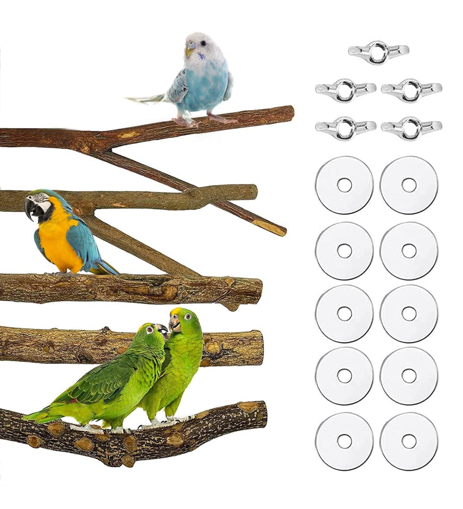 Gobesty Bird Perch Stand Bird Cage Accessories 5 PCS Bird Parrot Perches Natural Wood Parrot Perch Bird Cage Branch for Parakeets Cockatiels Conures Macaws Finches Love Birds - Buy Online on GoSupps.com