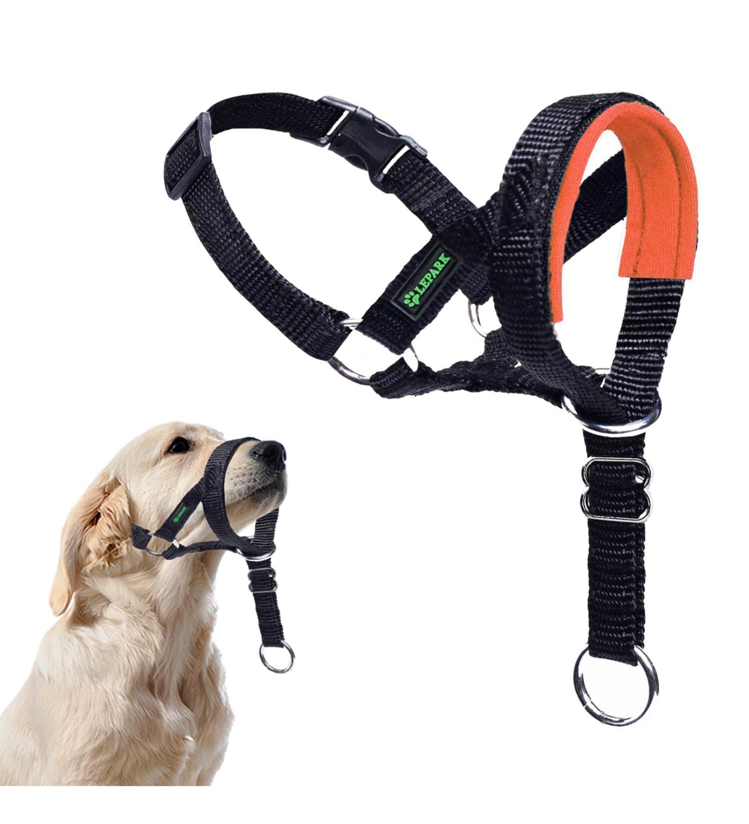 ILEPARK Dog Halter with Seat Belt | Adjustable No-Pull Harness for Dogs | Control & Comfort | Size M - Orange - Buy Online on GoSupps.com