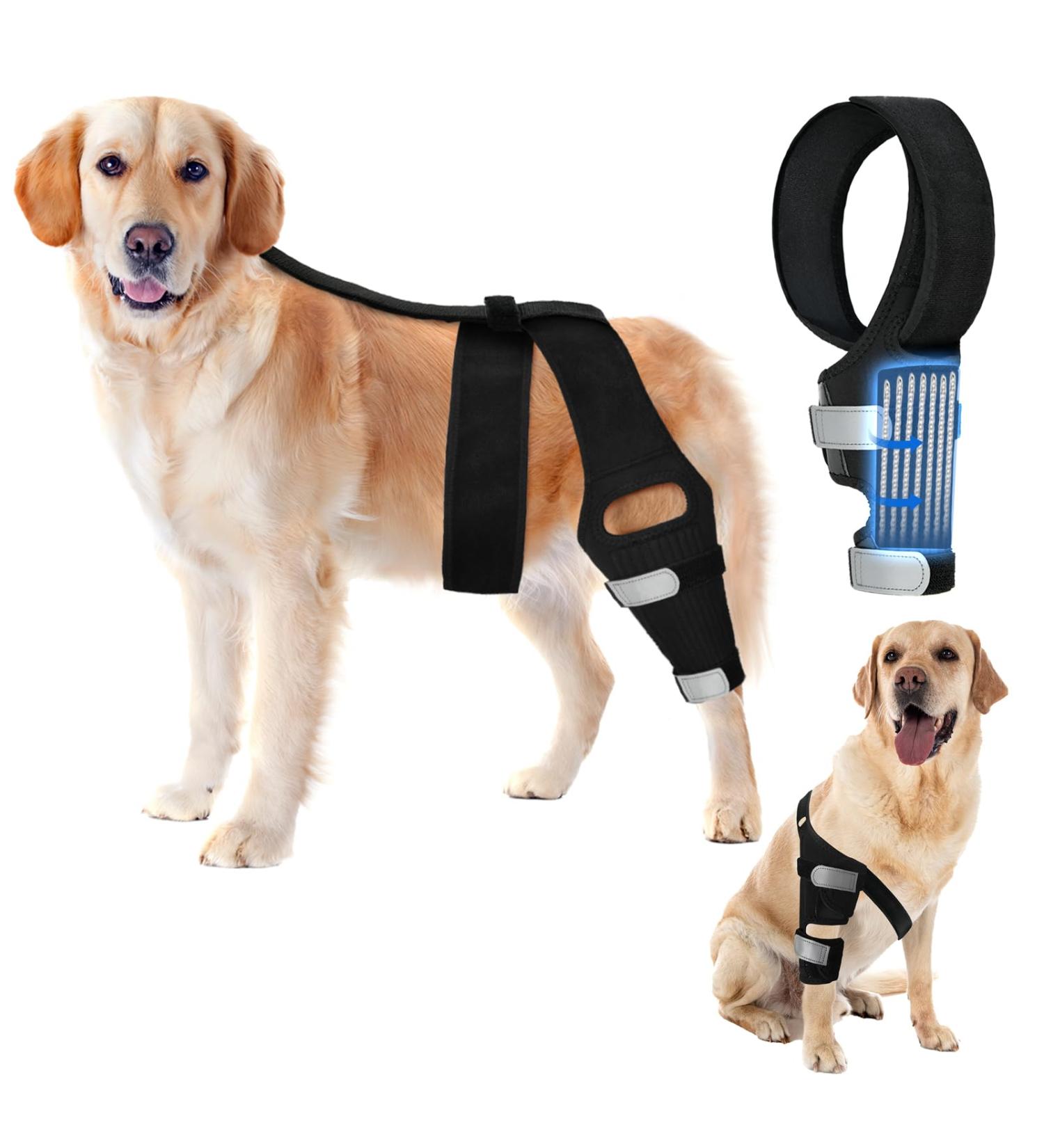 OaheLake Dog Knee Brace for Torn ACL Hind Leg Dog Hip Shoulder Elbow brace Support Dogs with ACL CCL Cruciate Ligament Injuries Patella Dislocation or Osteoarthritis for Both Back and Front Legs X-Large - Buy Online on GoSupps.com