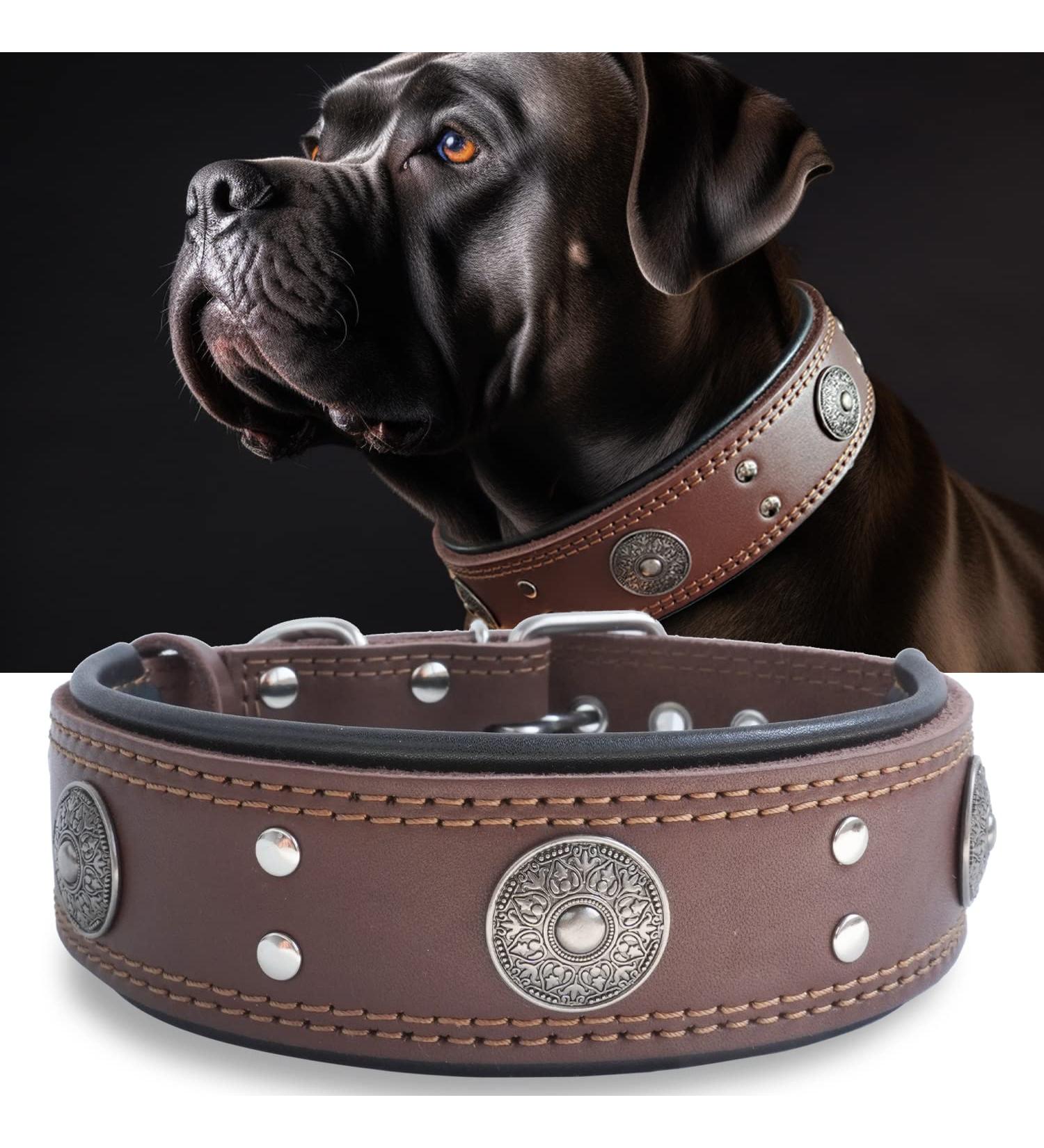 Luxurious Handmade Leather Dog Collar - 5cm Wide for Large & Medium Breeds (42-52cm) - Soft & Durable Brown Neck Band - Buy Online on GoSupps.com