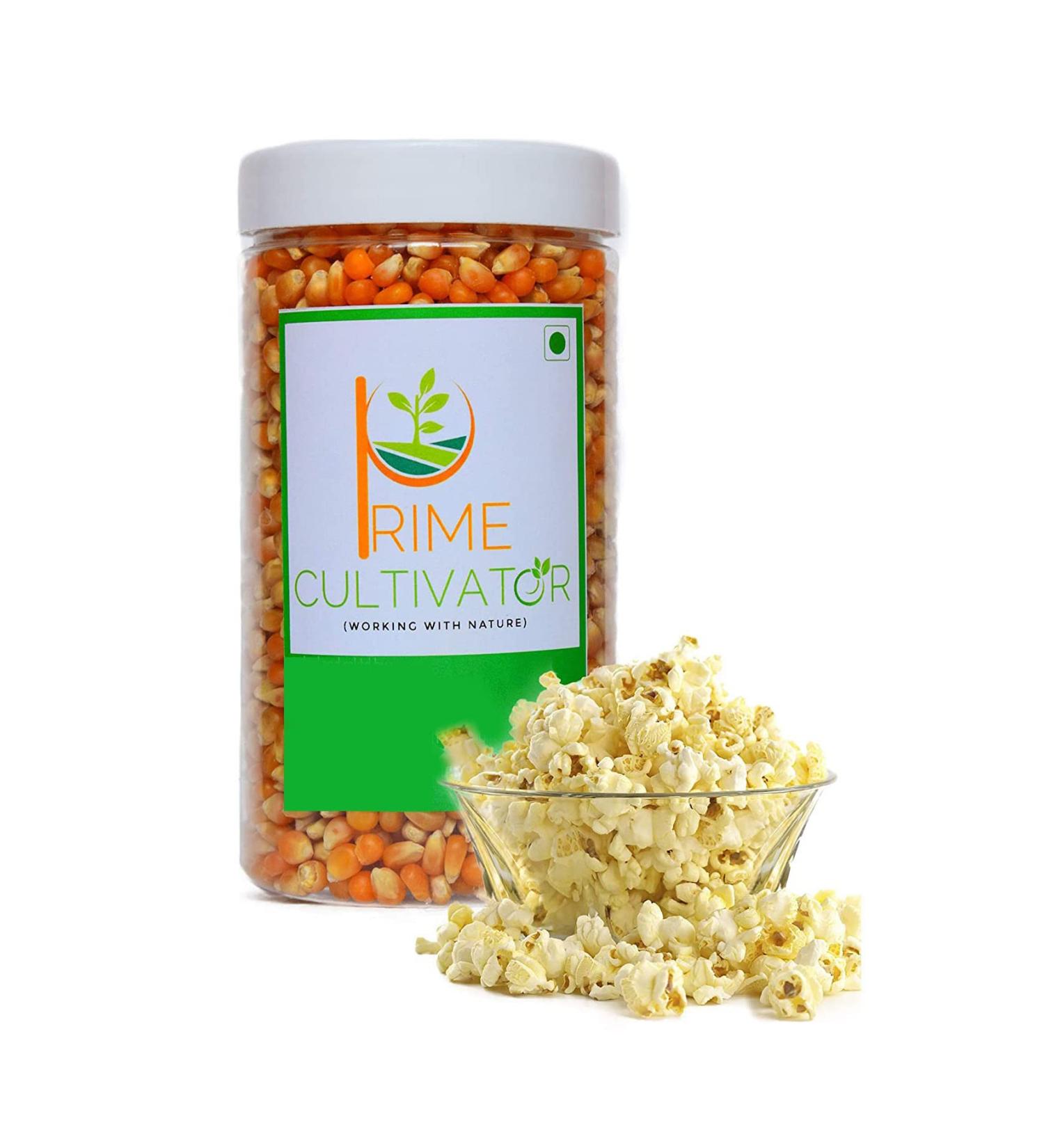 PRIME CULTIVATOR: Popcorn Kernels Seeds (500g)_Packing May Vary - Buy Online on GoSupps.com