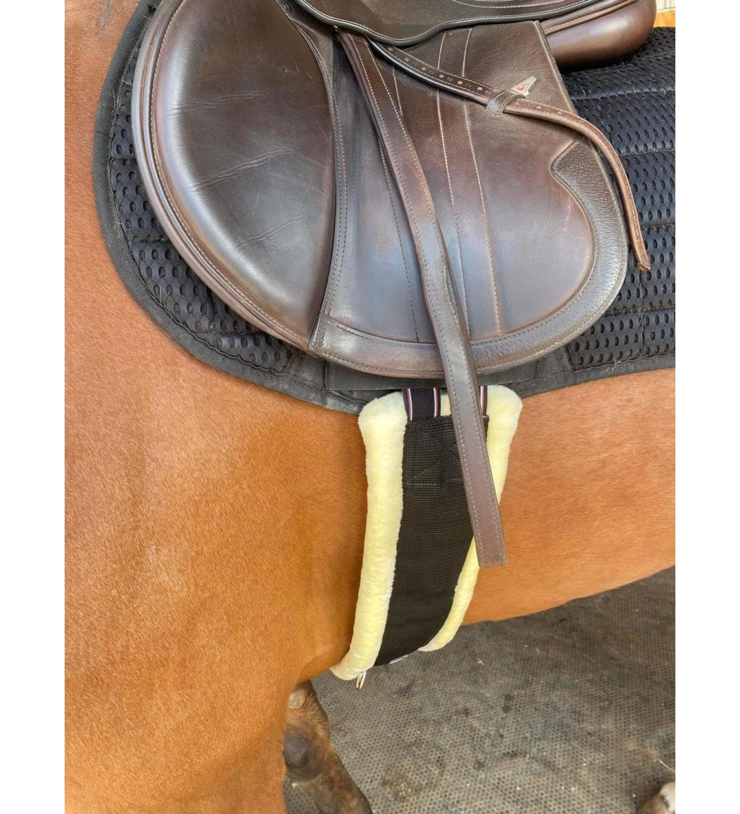 Preto Synthetic Jumping Saddle Girth - Elasticated Ends, Soft Faux Fur Lining, Tear Resistant Nylon Webbing - Anti-Chafing Padded Design for Equestrian Cob, Full, Pony (50/125cm) - Buy Online on GoSupps.com
