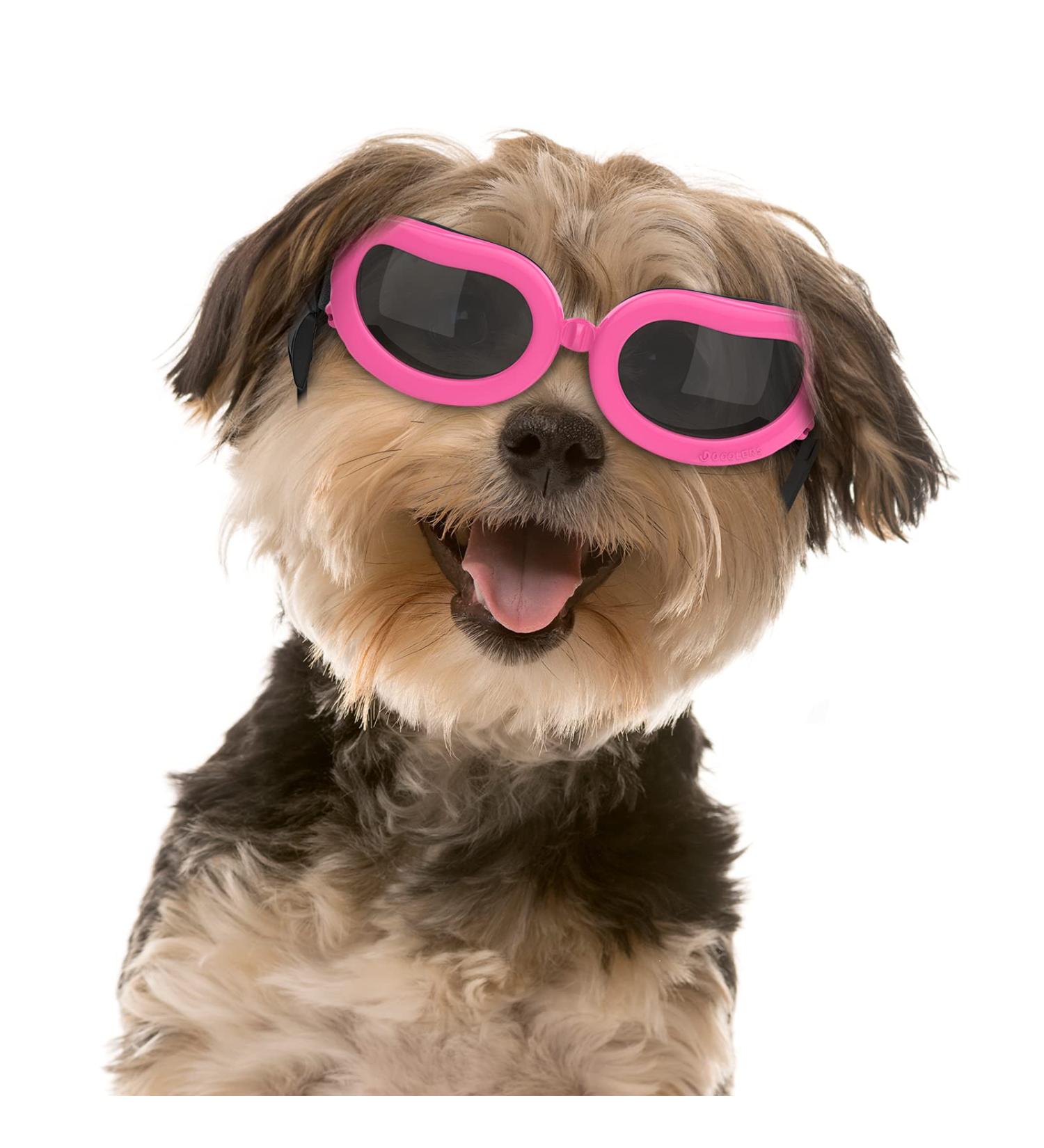 Pawaboo Dog Sunglasses  Small Dog Goggles with Adjustable Band  Waterproof Windproof Snowproof Cool Glasses for Puppy and Cat  Pink - Buy Online on GoSupps.com