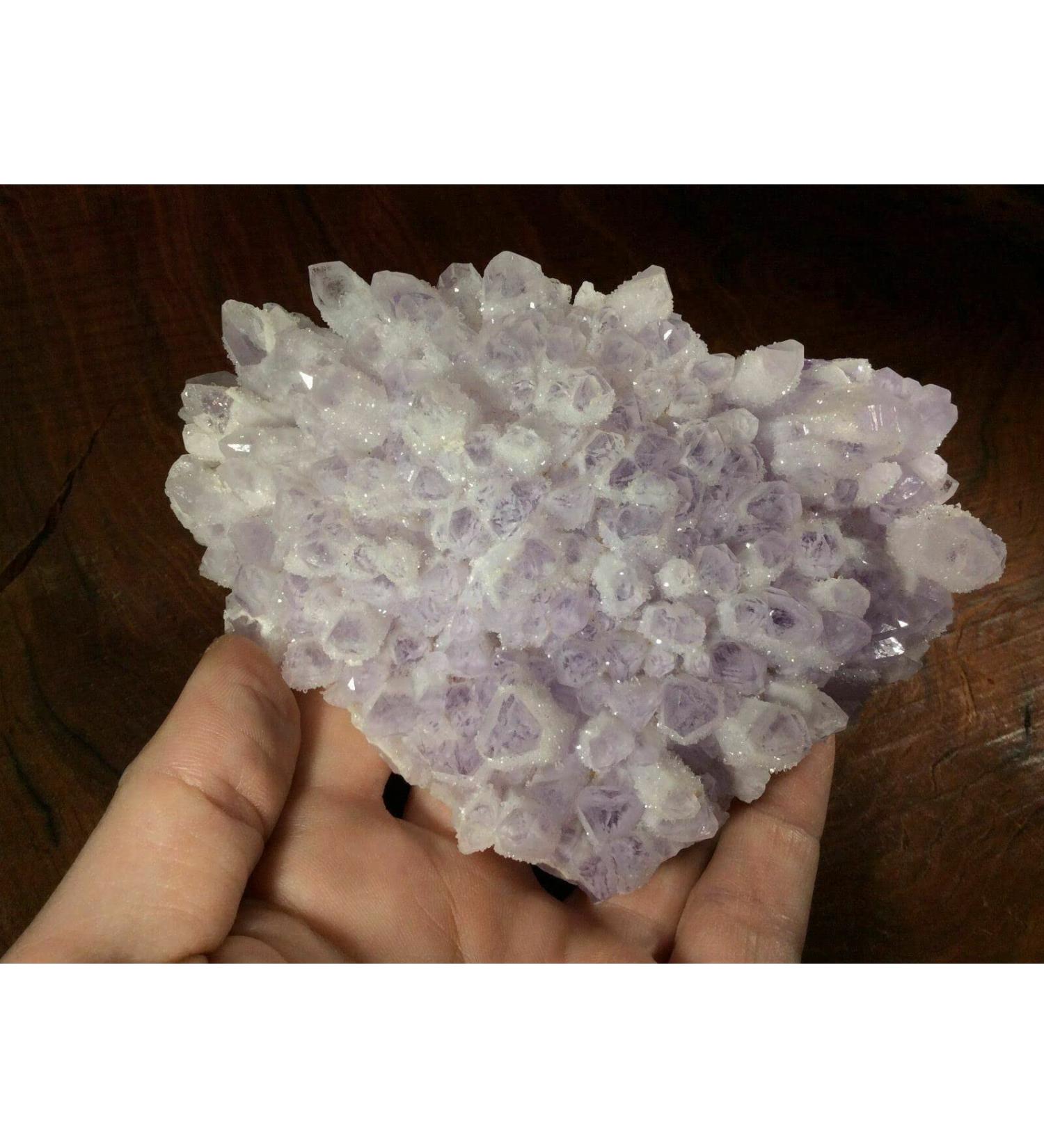 SQGCPGOQ Mexican Phantom Amethyst 11oz 170207 - Buy Online on GoSupps.com