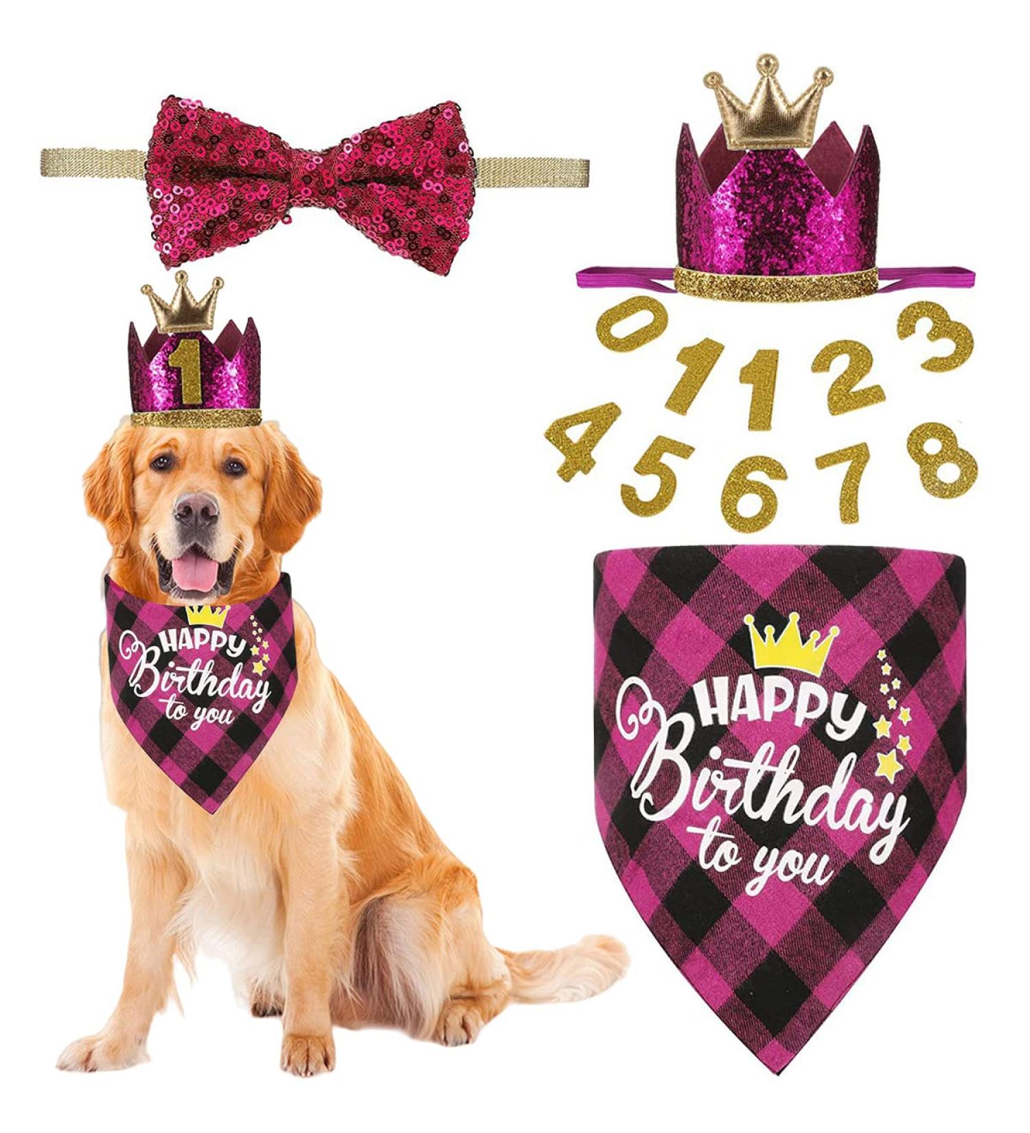 Crown Dog Birthday Hat Set - 4 Cute Reusable Hats & Bandana for Small to Medium Dogs Cats & Puppies - Pink with Gold Numbers - Buy Online on GoSupps.com