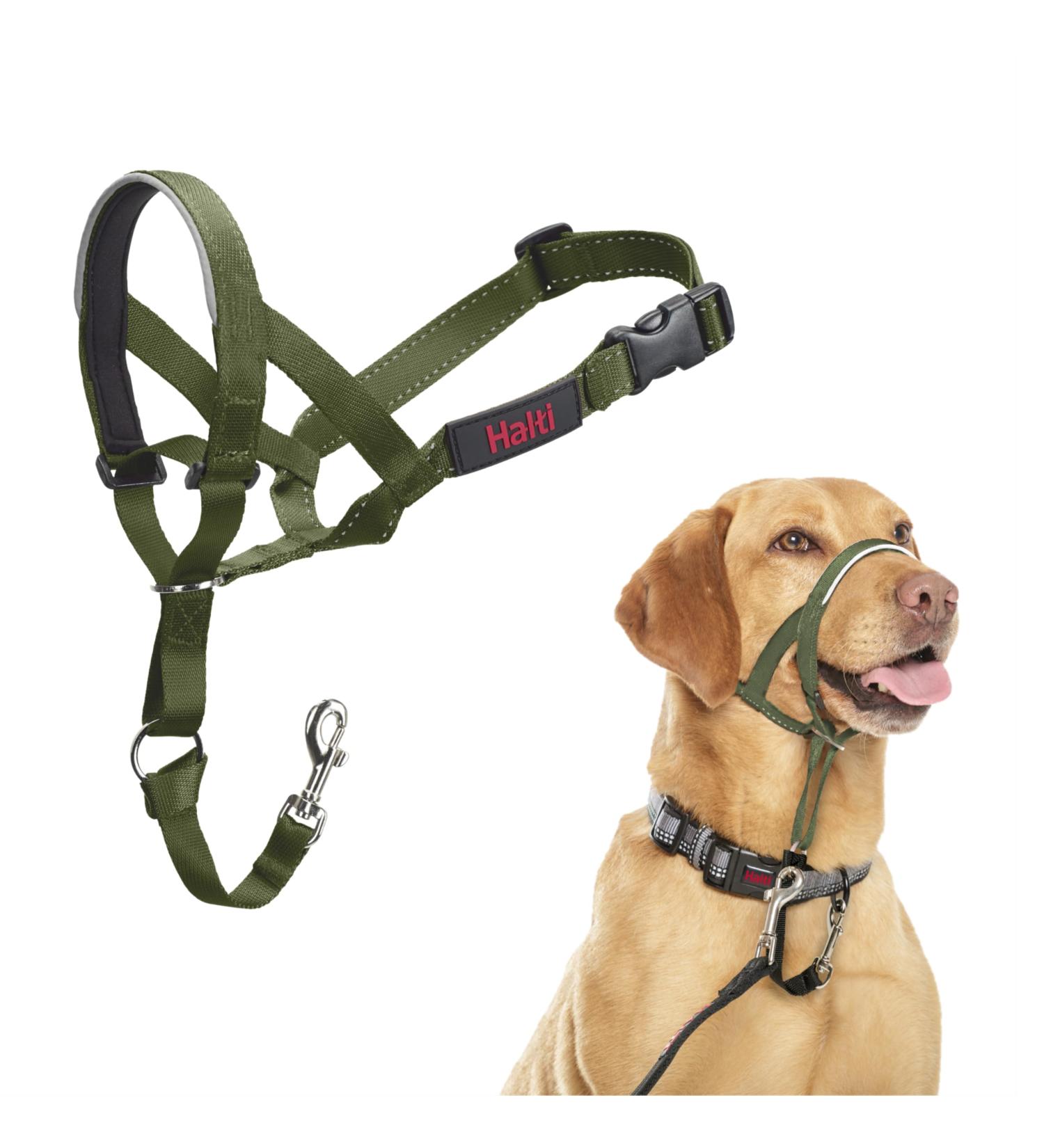 Halti Head Harness for Medium Dogs - Prevent Pulling Comfortable Padded Nose Strap Forest Green Size 3 - International Shipping Available - Buy Online on GoSupps.com