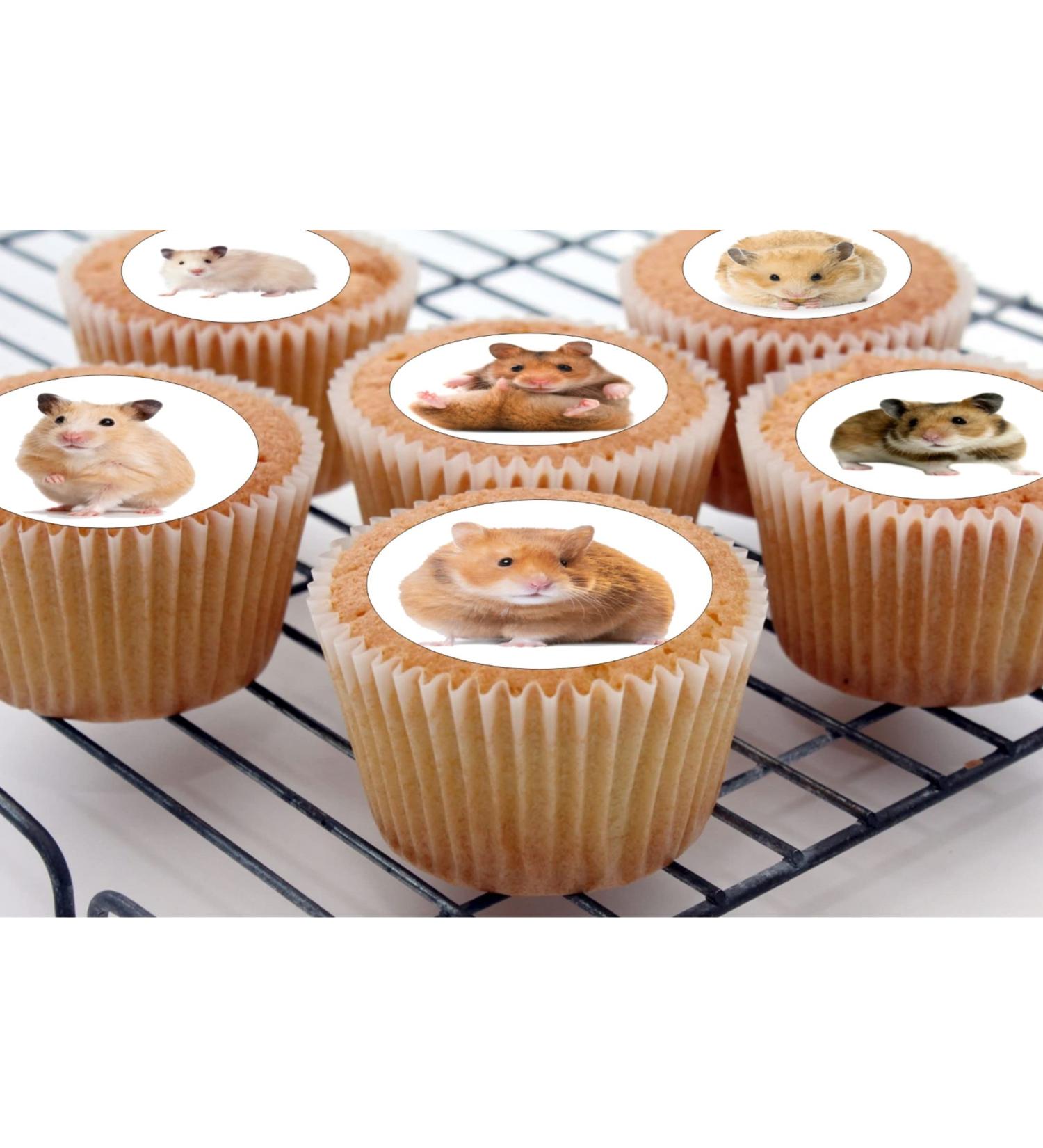 The Cake Decorators Boutique 24 edible PRE CUT Hamster Hamster kids childrens party cake decorations Cupcake Cake Toppers on Wafer 4.2cm - Buy Online on GoSupps.com