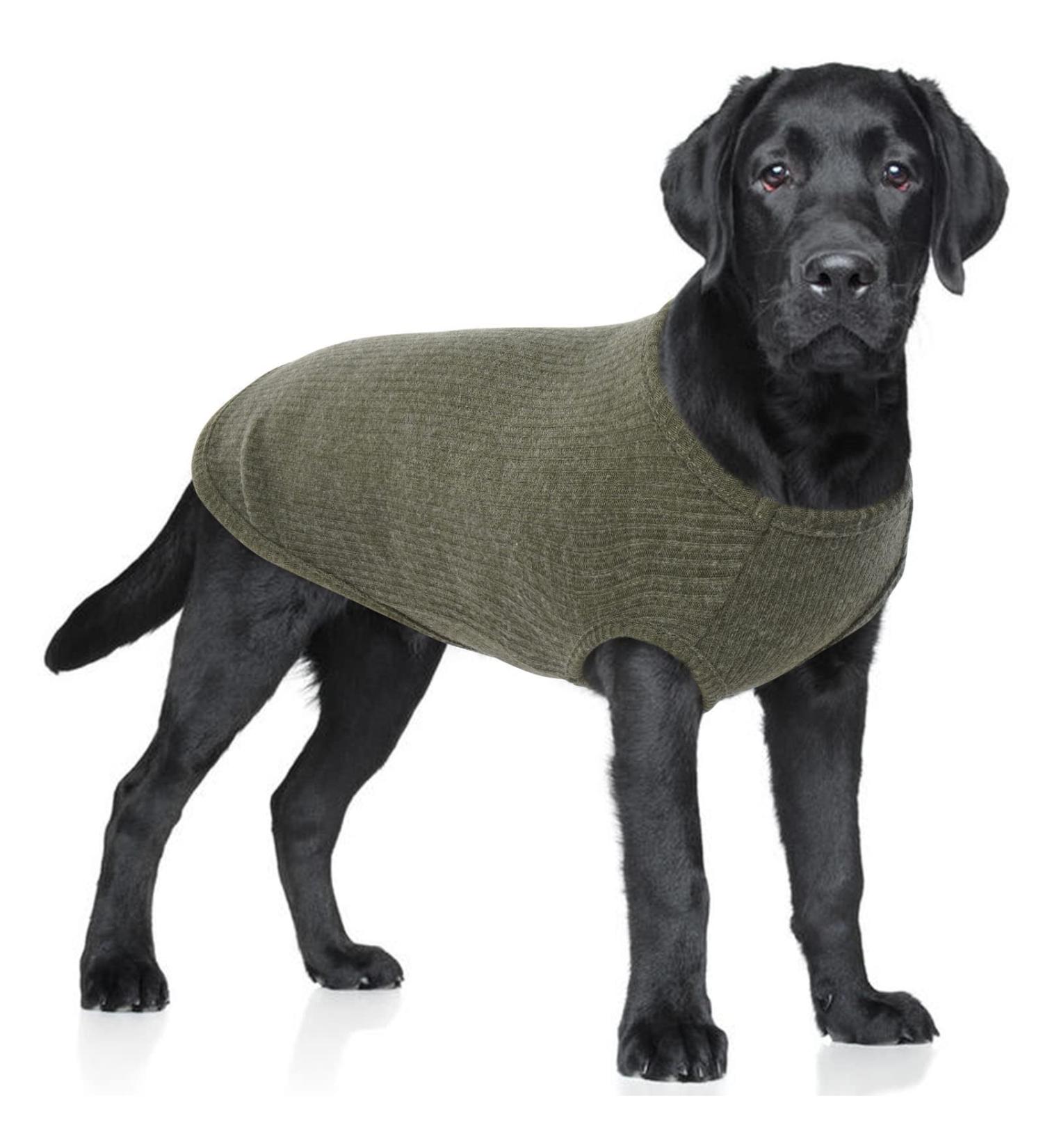 Shop Hjumarayan Washable Dog Sweater for Large Dogs | Elastic Thin Striped Shirt - Military Green XXL | Perfect for Medium & Large Breeds - Buy Online on GoSupps.com