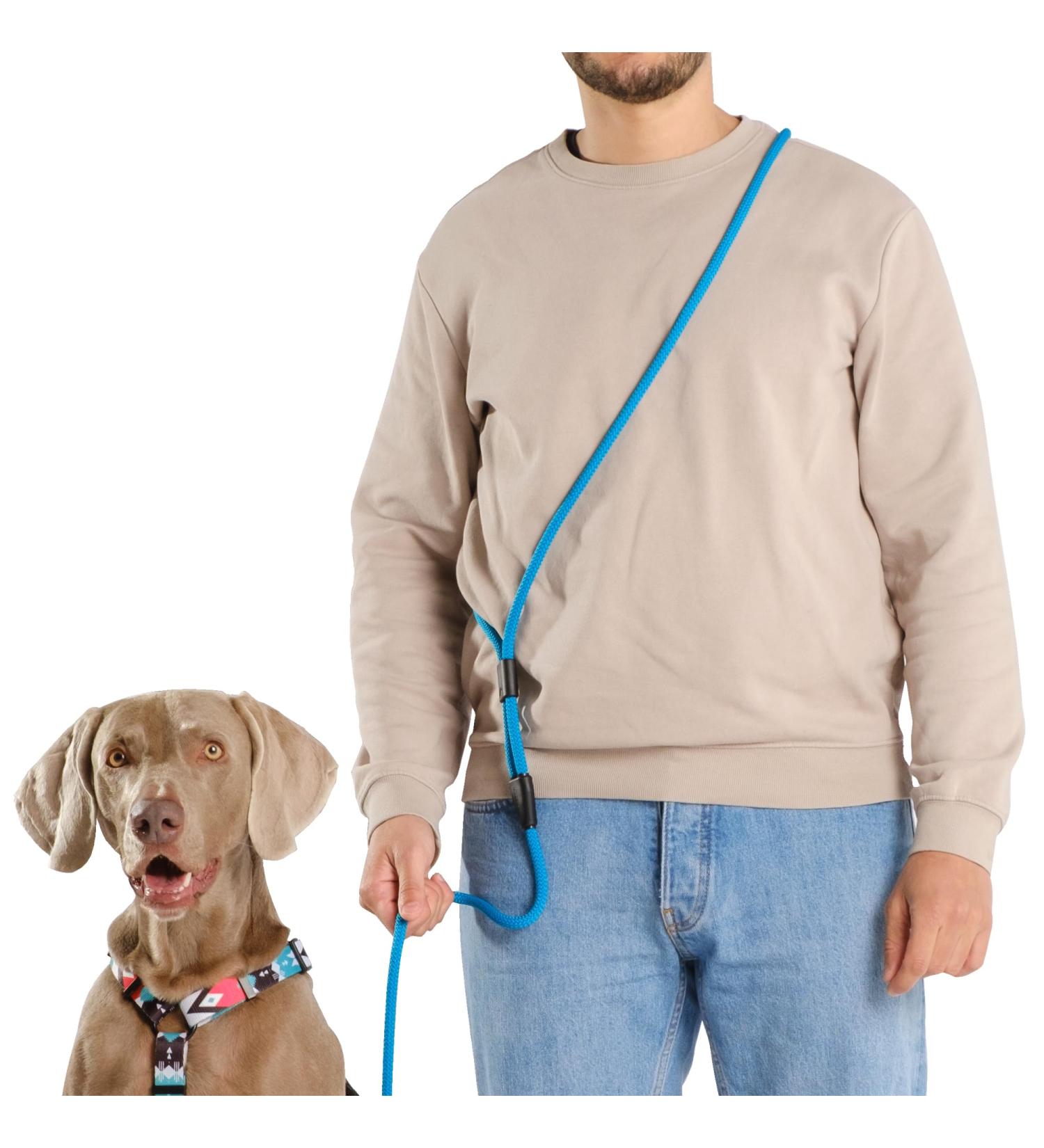 Hands-Free Dog Leash - 2m Adjustable Belly Belt for Running & Jogging | 3-in-1 Training & Hunting Leash for All Dog Sizes - Touline Petrol - Buy Online on GoSupps.com
