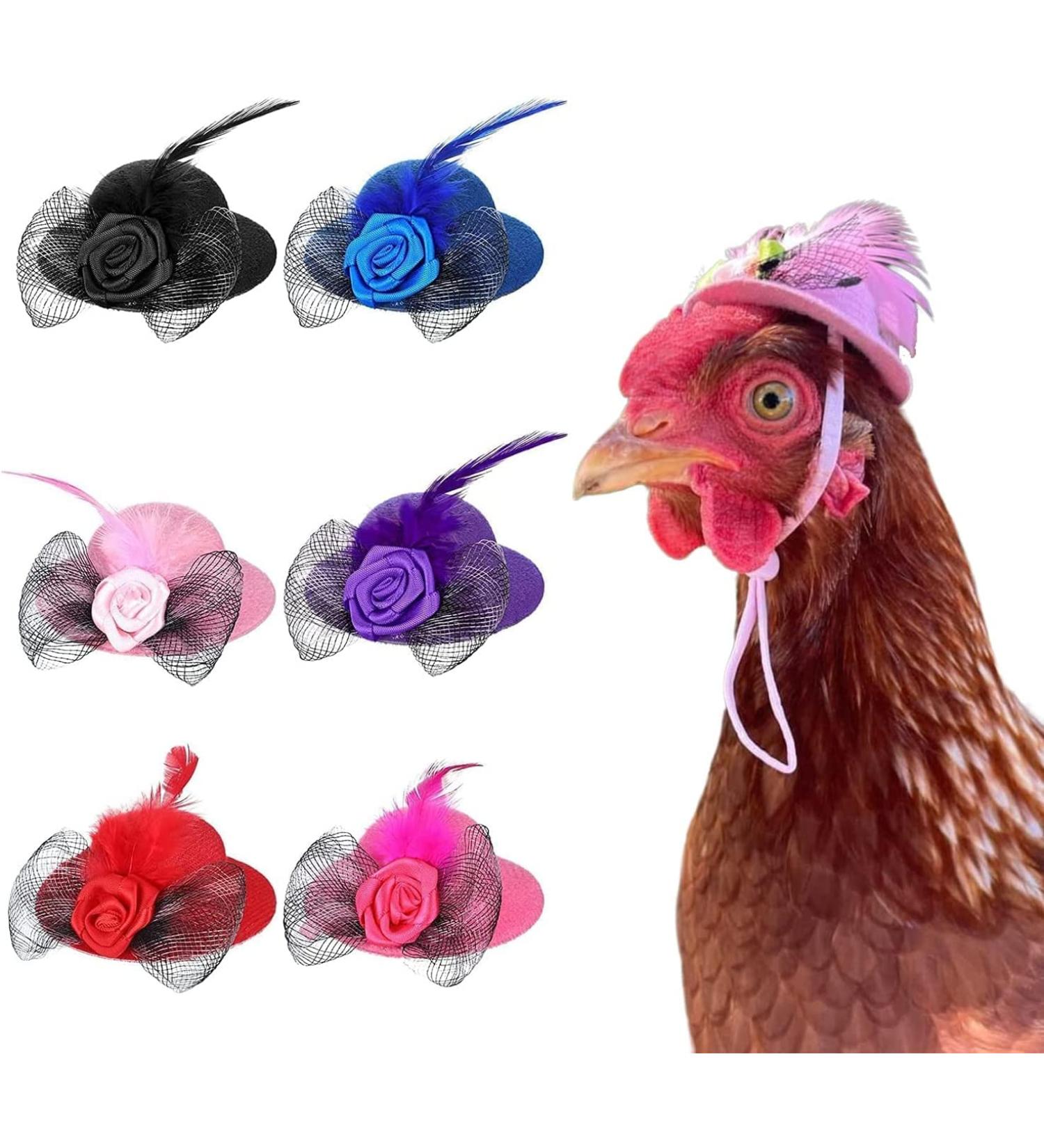 Elastic Chicken Hats for Hens - Set of 6 Funny Accessories for Rooster, Duck, Parrot - Stylish Poultry Costume - Buy Online on GoSupps.com