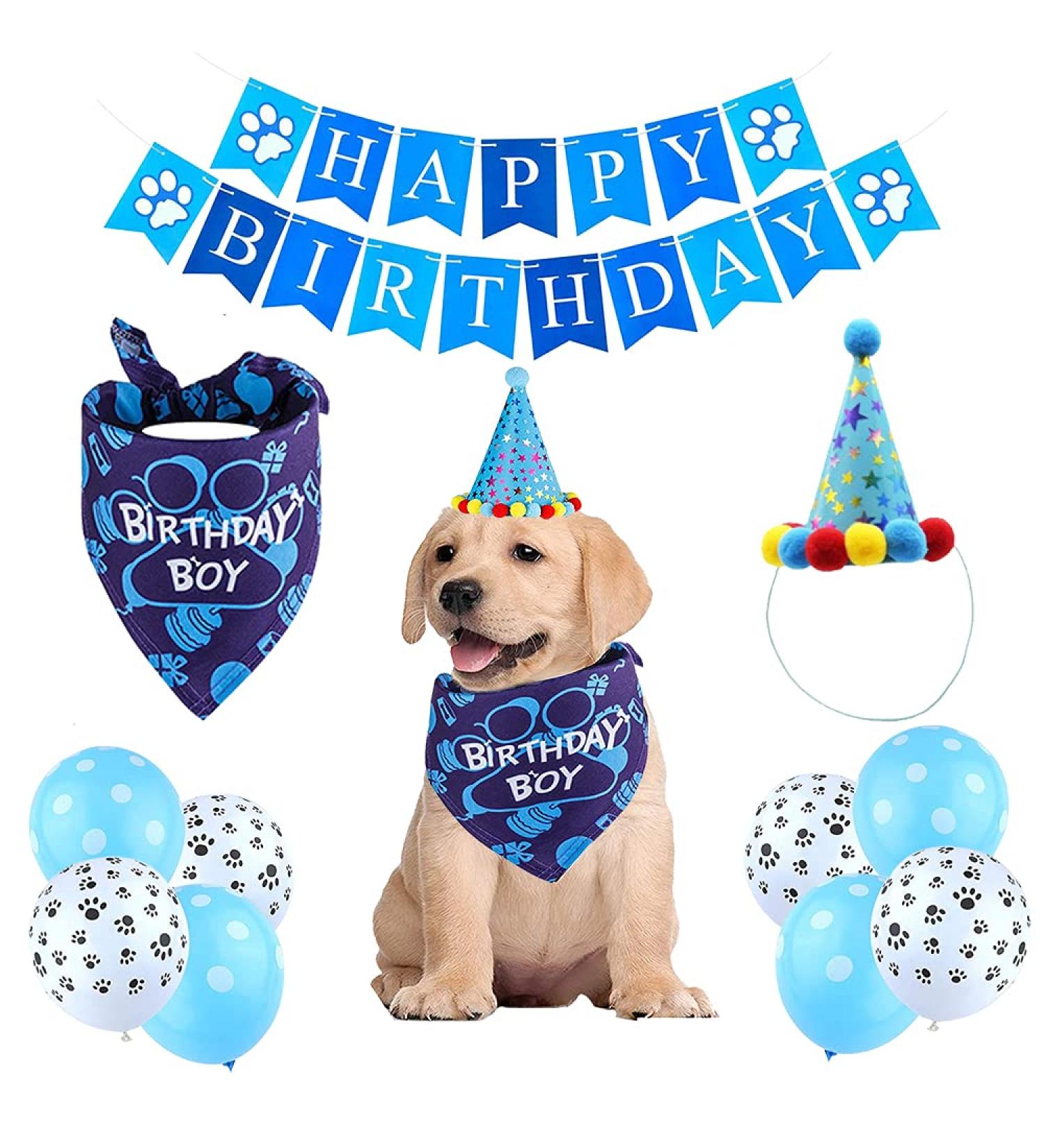 Dog Birthday Bandana & Hat Set | Celebrate Your Dog s Special Day with Blue Party Decorations - Buy Online on GoSupps.com