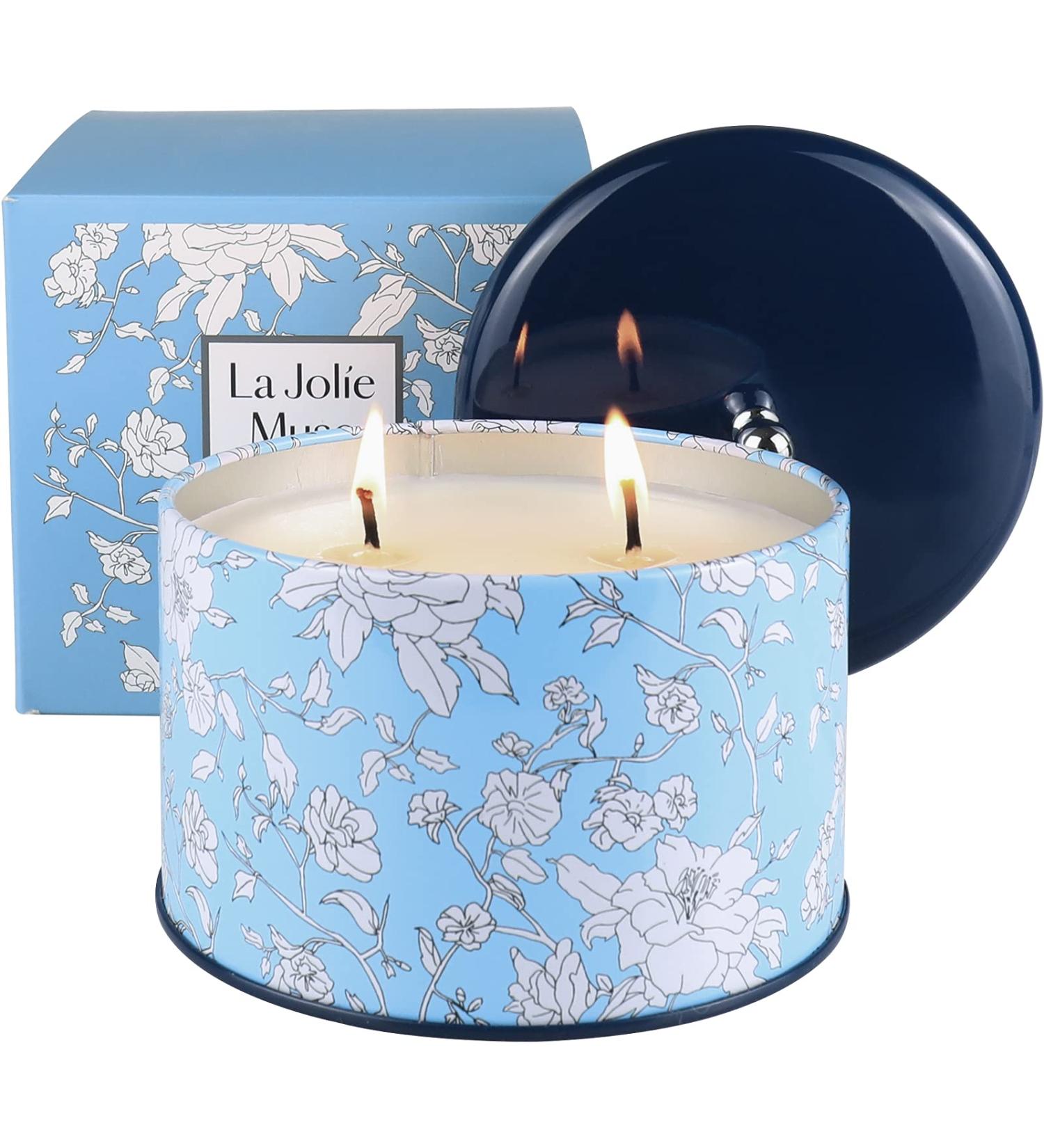 La Jol e Muse Citronella Fragrance Candle - 400g Natural Wax 2 Wicks 40-50 Hours Burn Time - Ideal for Indoor/Outdoor Use & Perfect Gift for Garden Camping - Buy Online on GoSupps.com