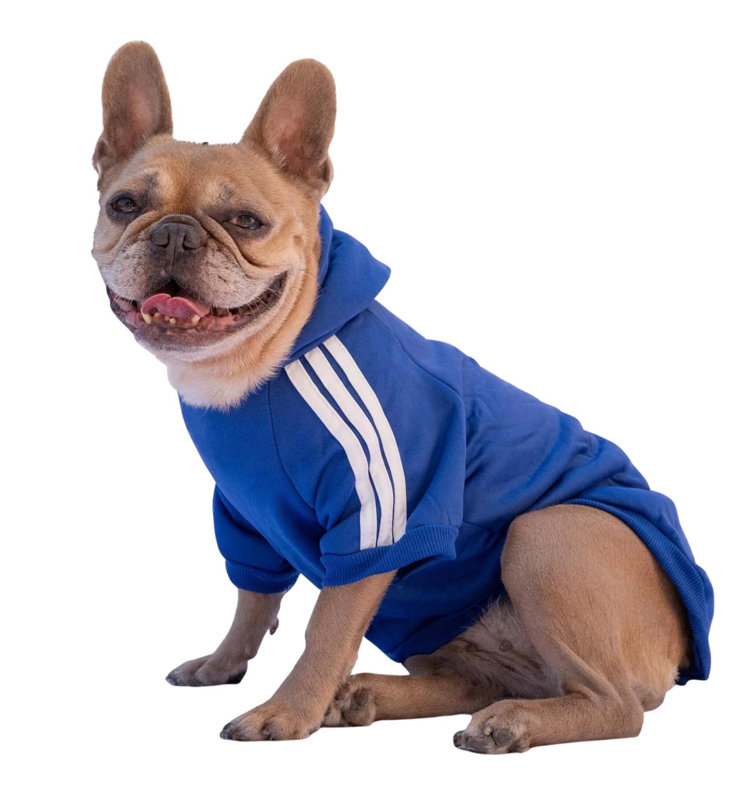 Ducomi Dog Sweater with Hood Warm & Soft Blue Clothing for All Sizes 2XL - Perfect for Pets & Puppies - Buy Online on GoSupps.com