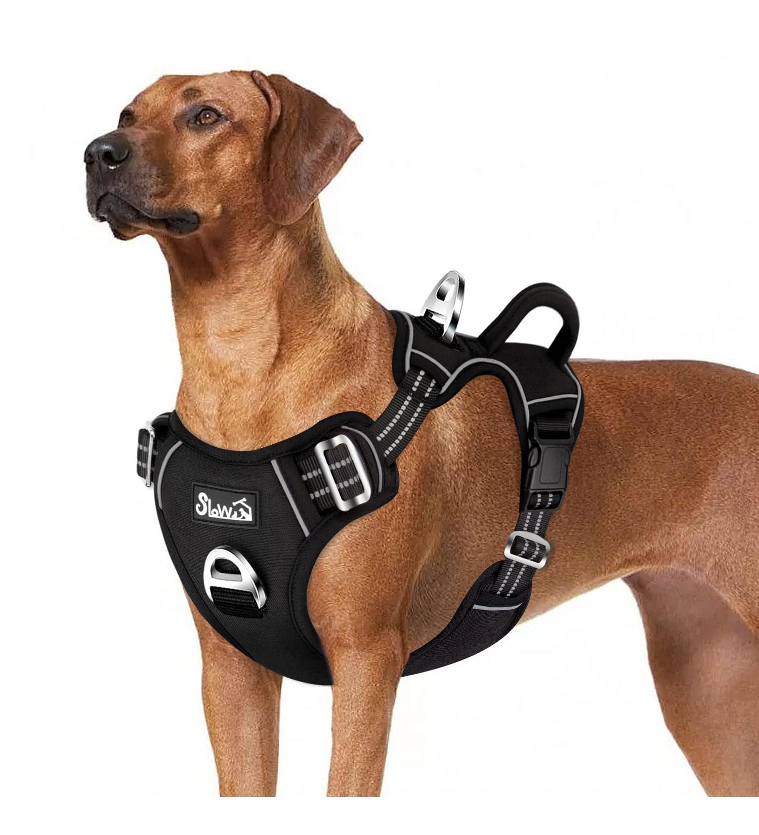Eyin Adjustable Dog Harness for Large Dogs Breathable Reflective Padded with Handle & Front Bracket XL (Neck: 55-83cm Chest: 50-94cm) Perfect for Daily Training - Buy Online on GoSupps.com
