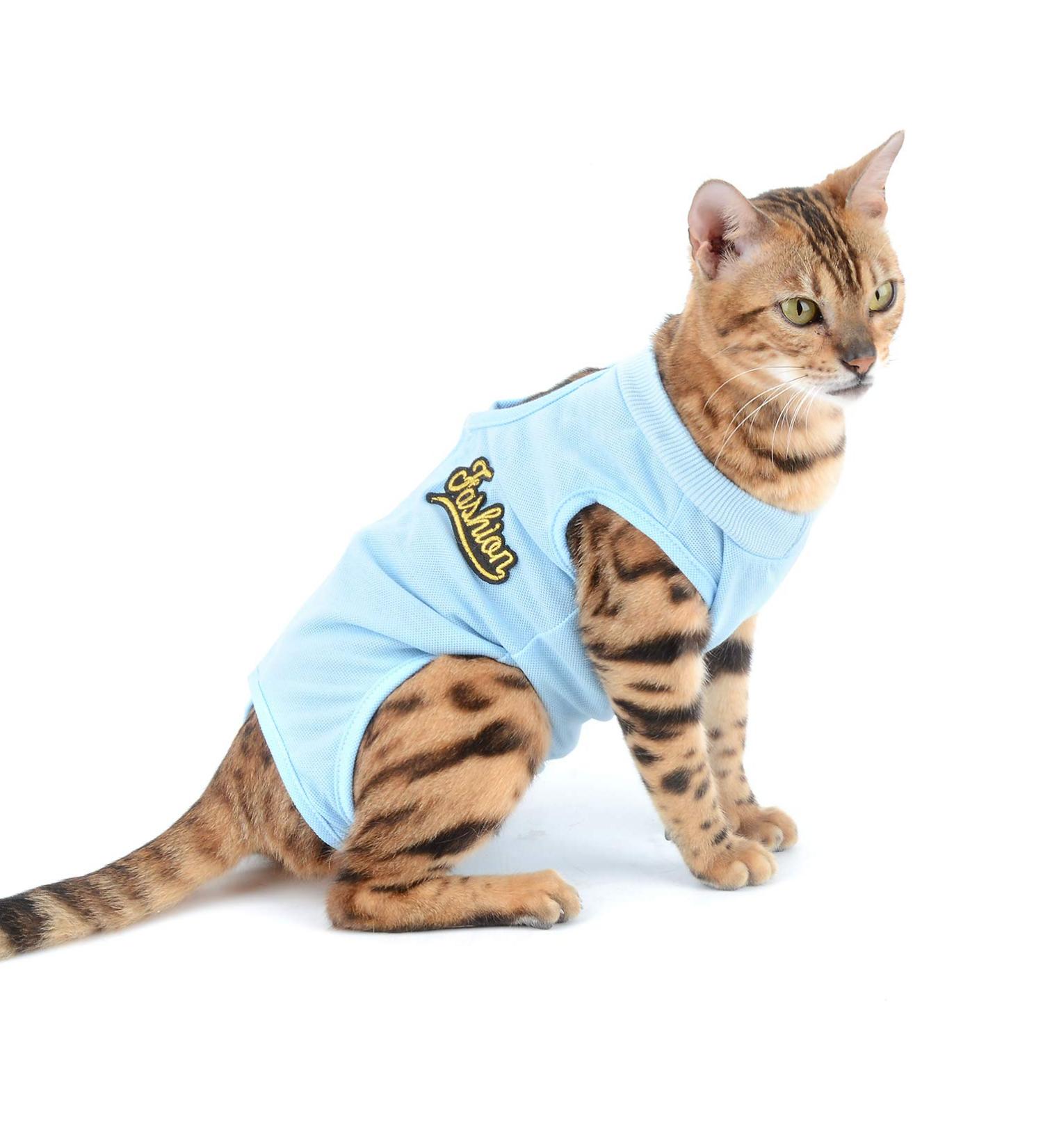 Selmai Medical Pet Shirt - Soft Cotton E-collar Alternative for Post-Op Dogs & Cats | Wound Protection & Nursing Clothing in Blue - Size S - Buy Online on GoSupps.com