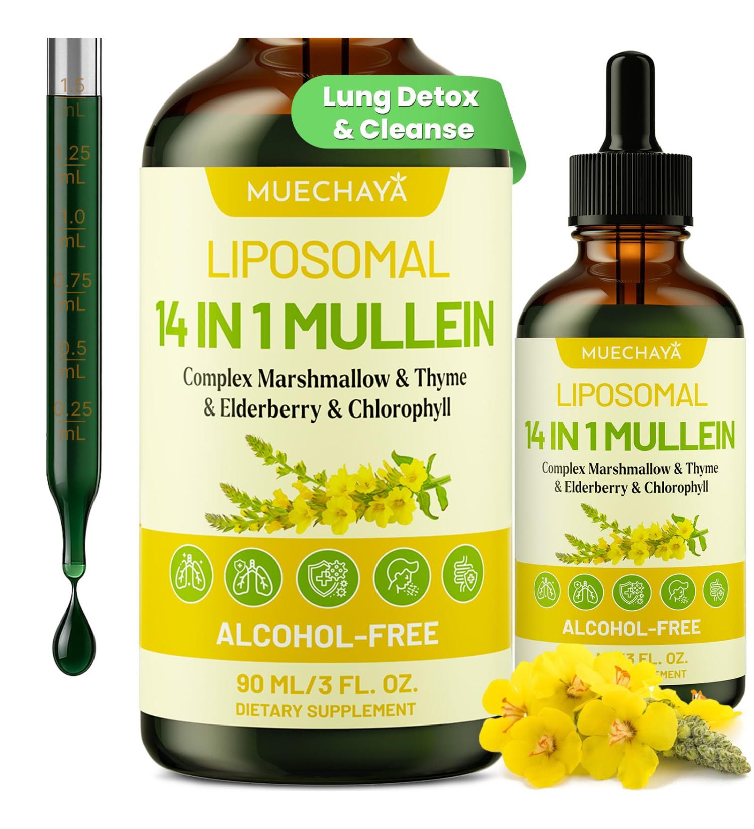 Mullein Drops For Lungs Liposomal 14 In 1 Mullein Leaf Extract For Lungs Mullein Drops with Elderberry Chlorophyll Thyme - for Lung Cleanse Detox Respiratory Immune Health 3 Fl 0Z Mint Flavor 3 Fl Oz (Pack of 1) - Buy Online on GoSupps.com