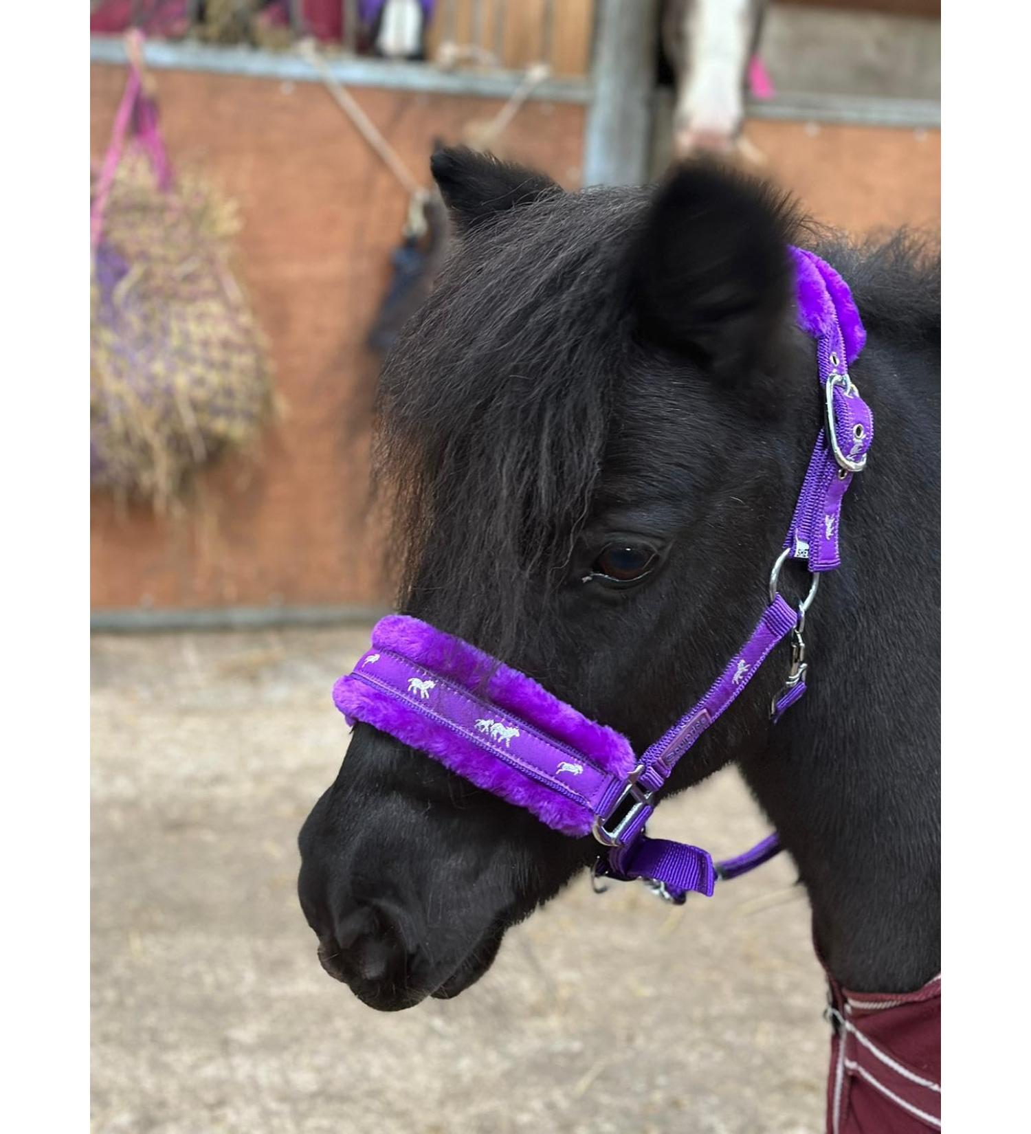 Equipride Horse Print Faux Lined Nylon Headcollars with Matching Lead Rope Purple (Pony)