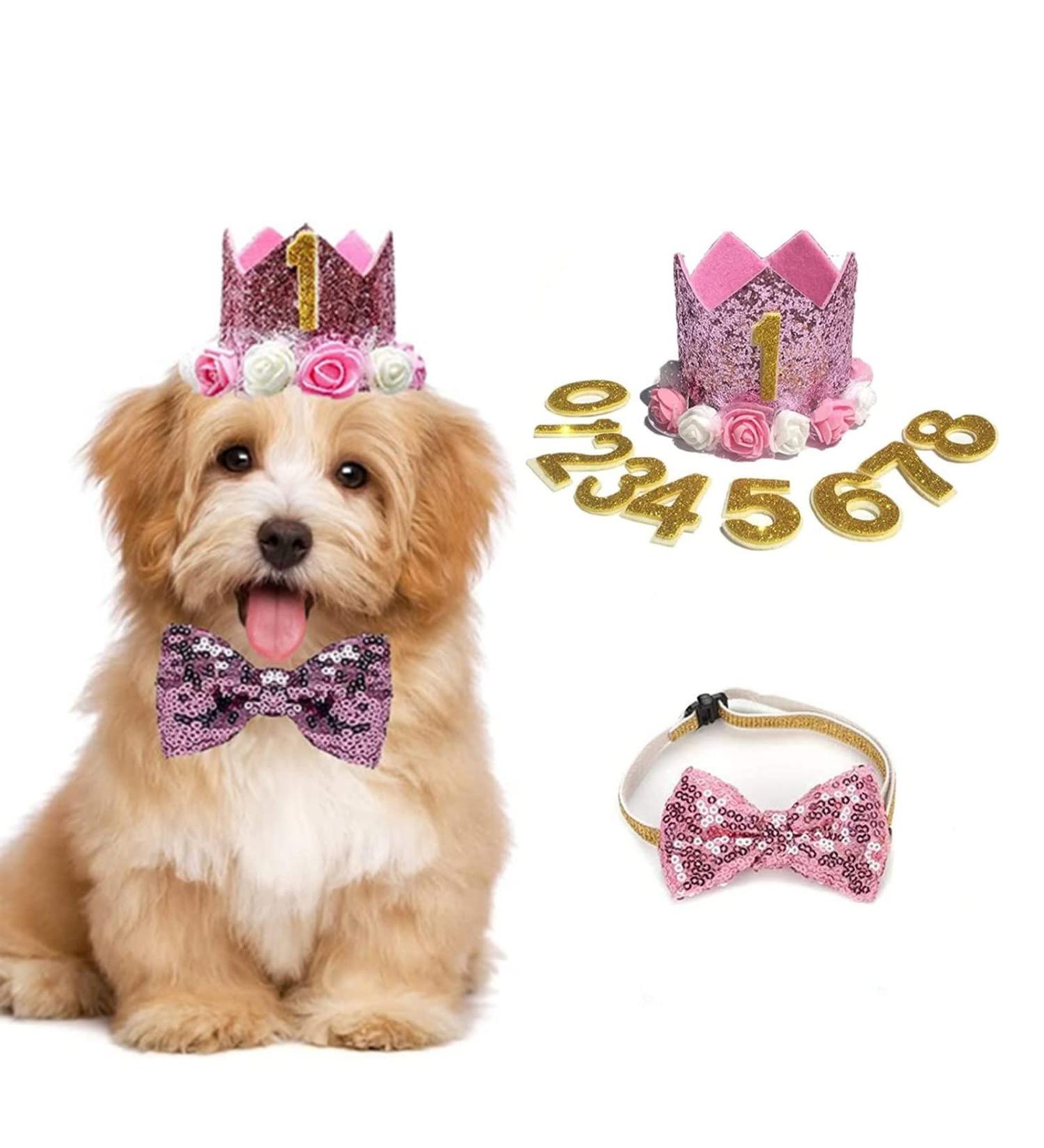 Dog Cat Birthday Hat Crown with Bowtie & Charms, Party Accessories for Small Medium Pets (PINK) - Buy Online on GoSupps.com