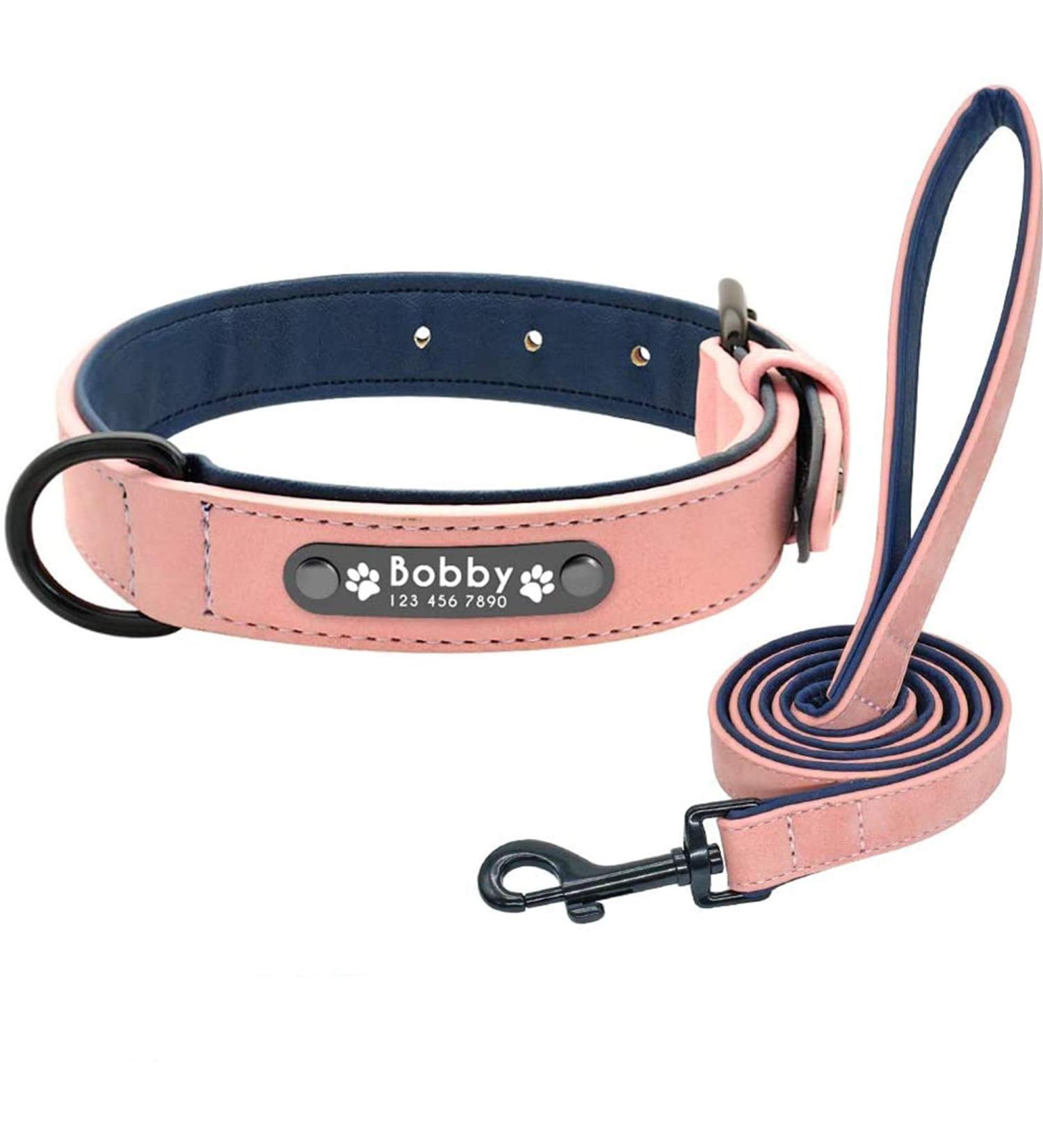 Didog Personalized Soft Padded Leather Dog Collar with Engraved Name Tag - Custom Fit for Small & Medium Dogs (M: 27-33 cm) - Pink - Buy Online on GoSupps.com